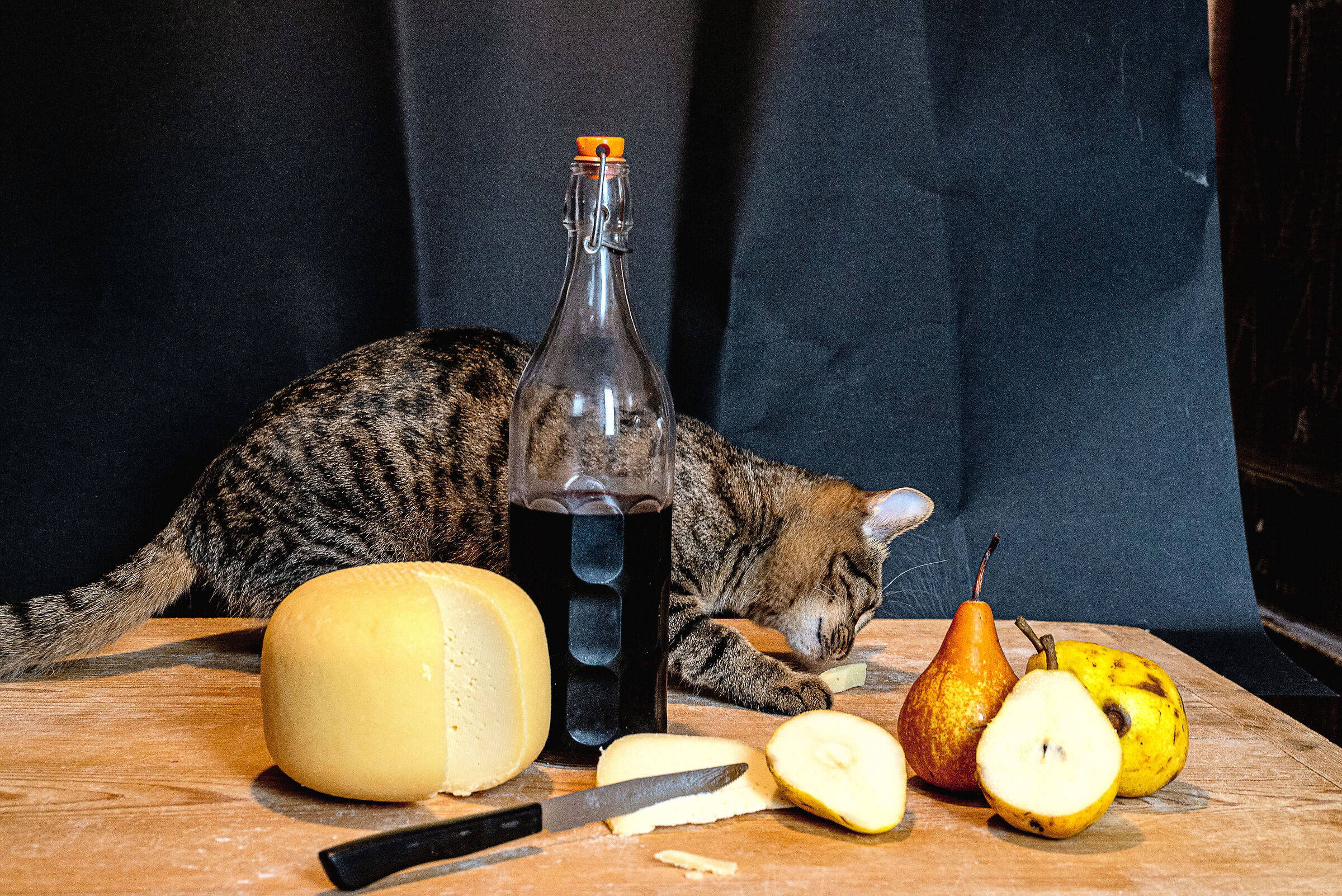 frontstage....quando i topi ballano....