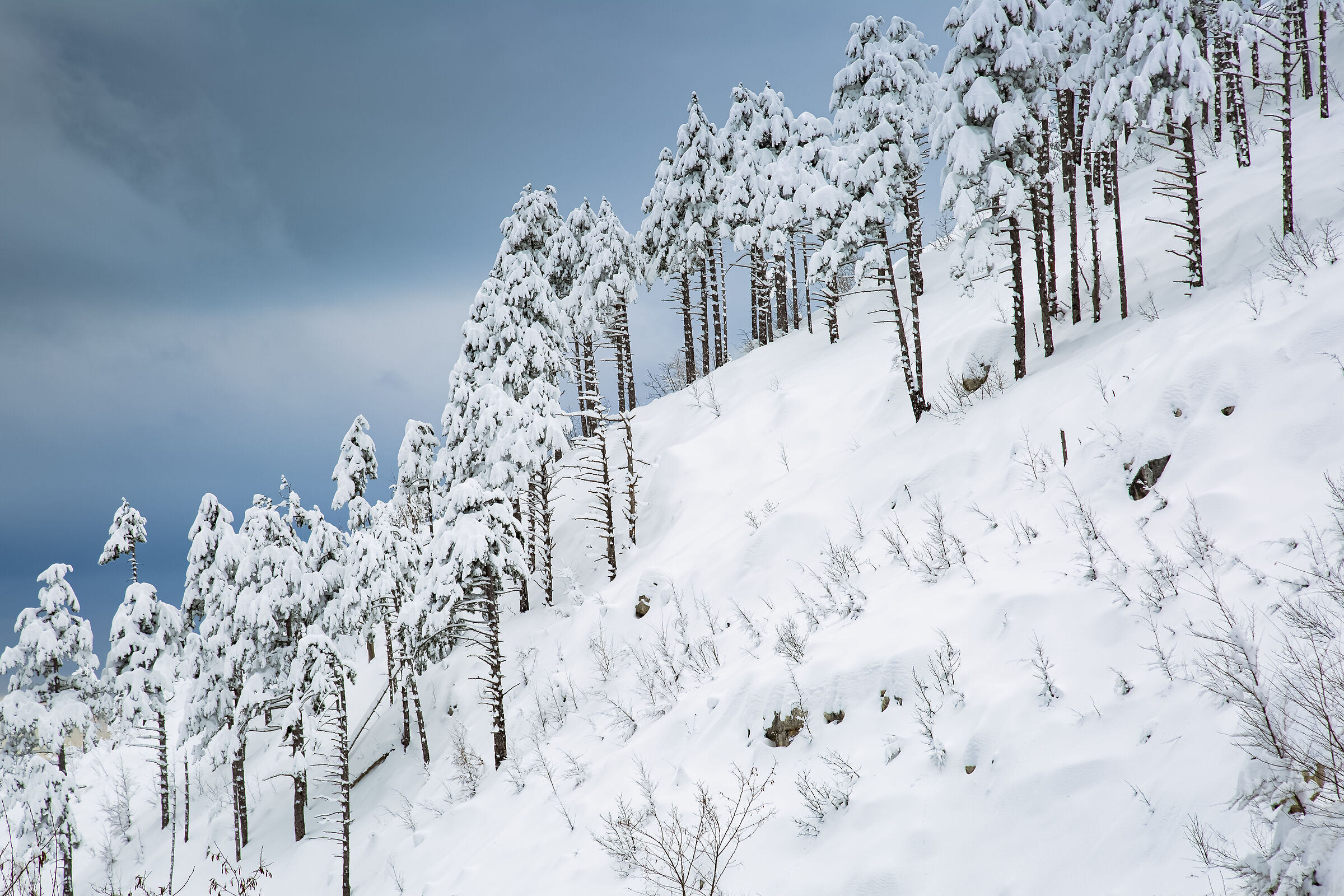 Scenografie invernali