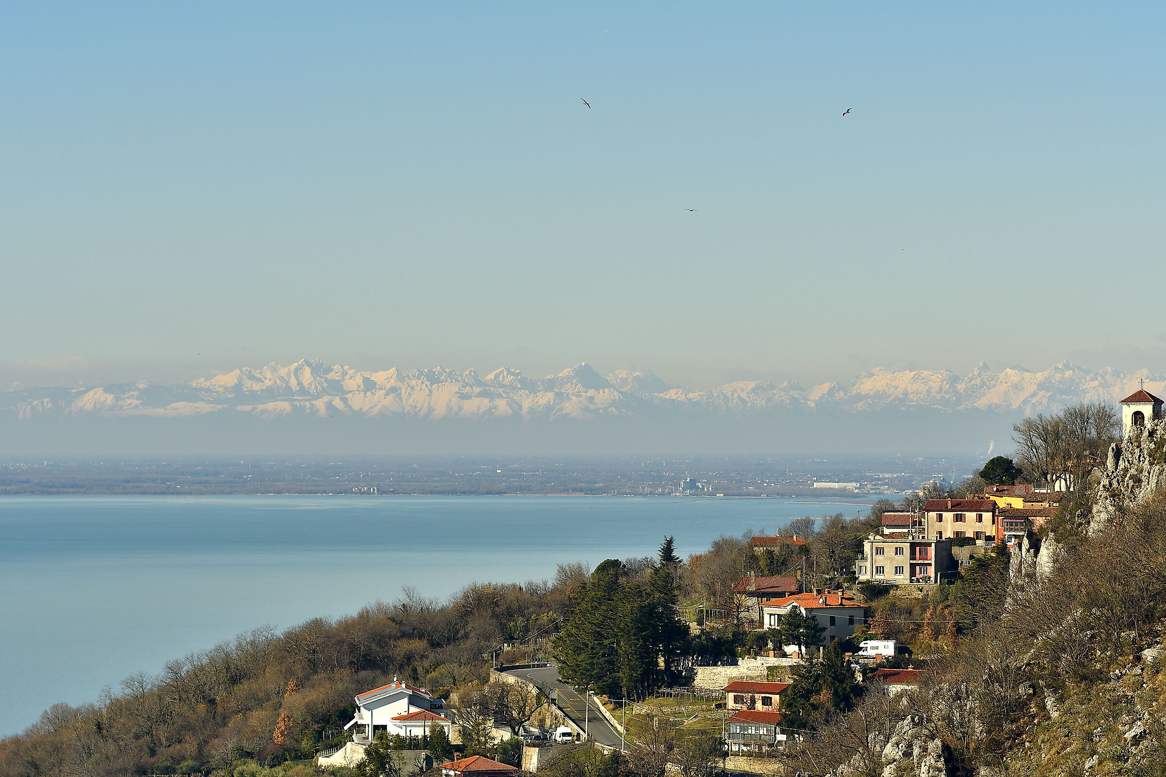 Anche oggi si vedono le Alpi dal mare....
