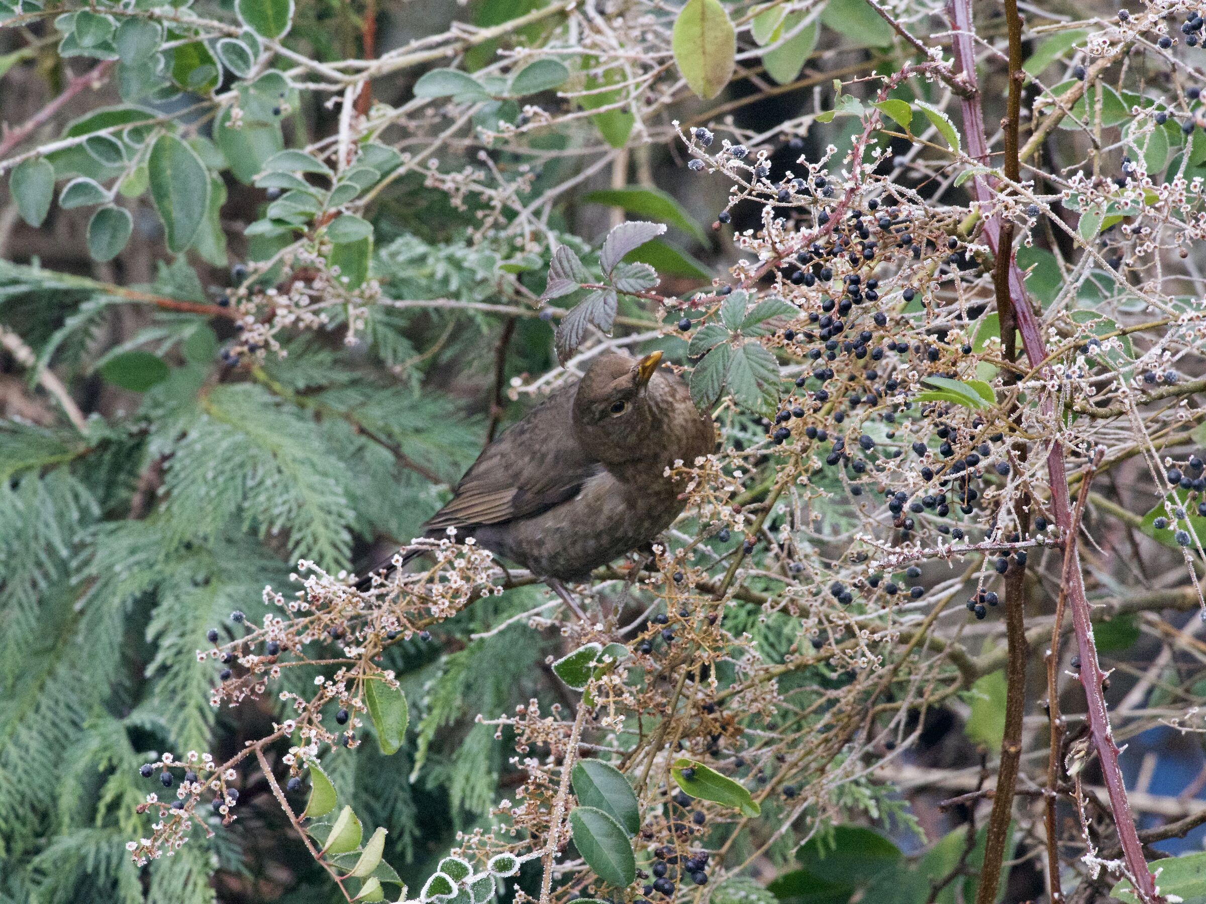 In winter it's hard...