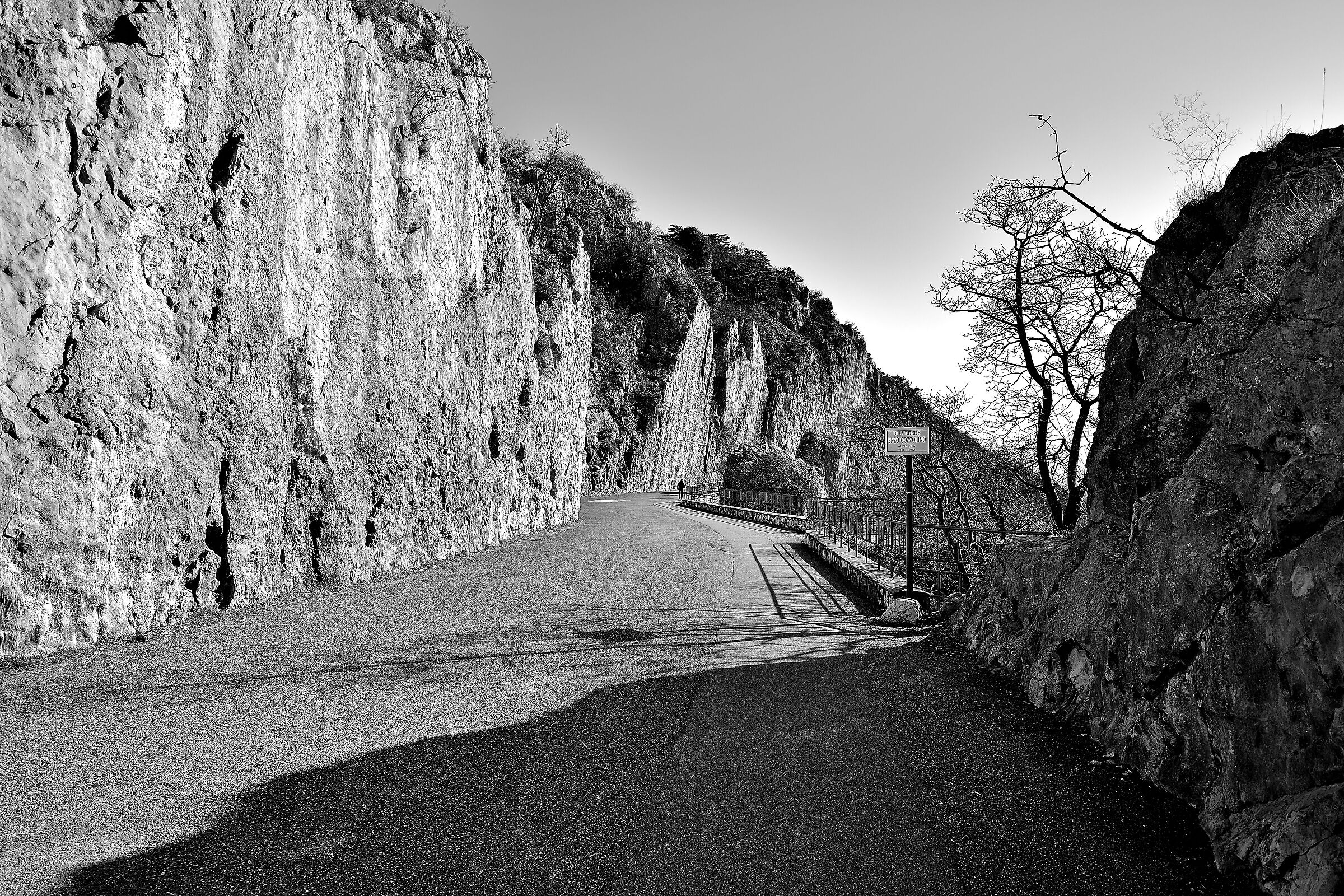 Ingresso della Napoleonica