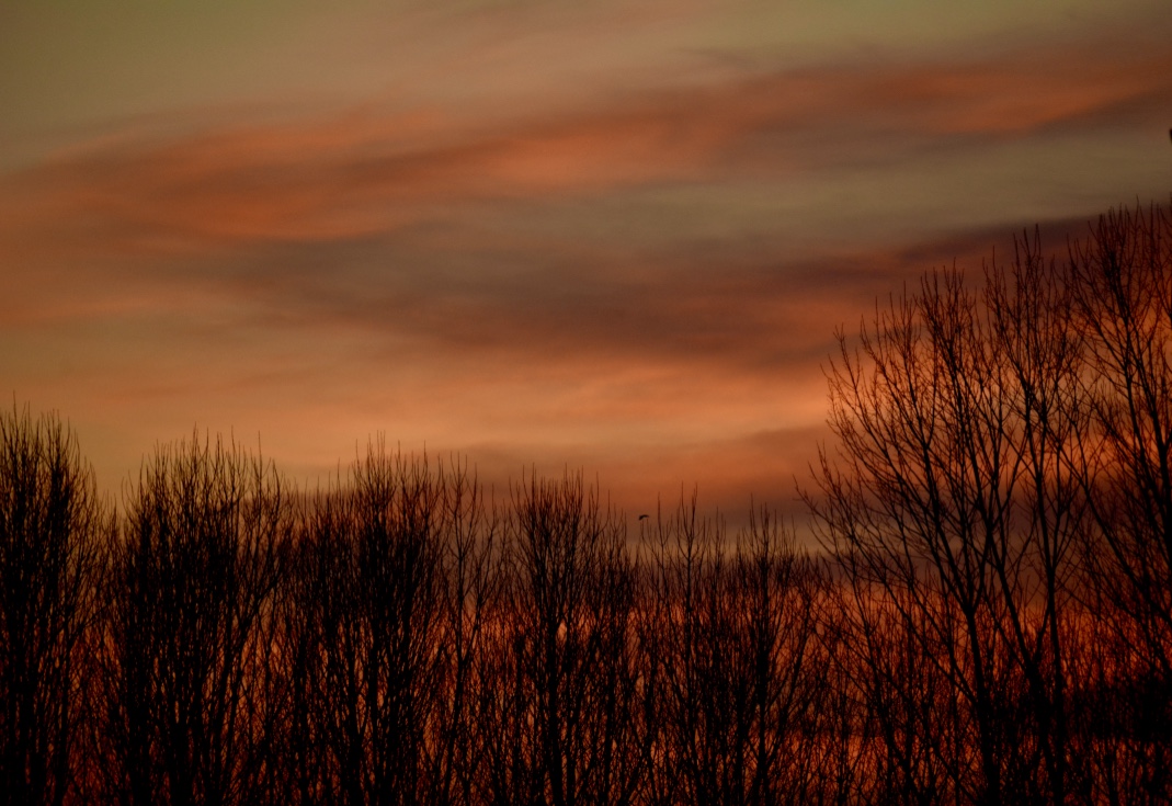 And it's right in the evening