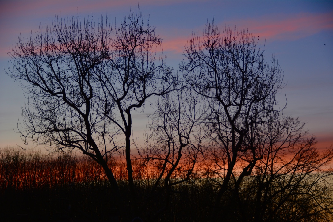 And it's right away evening 2