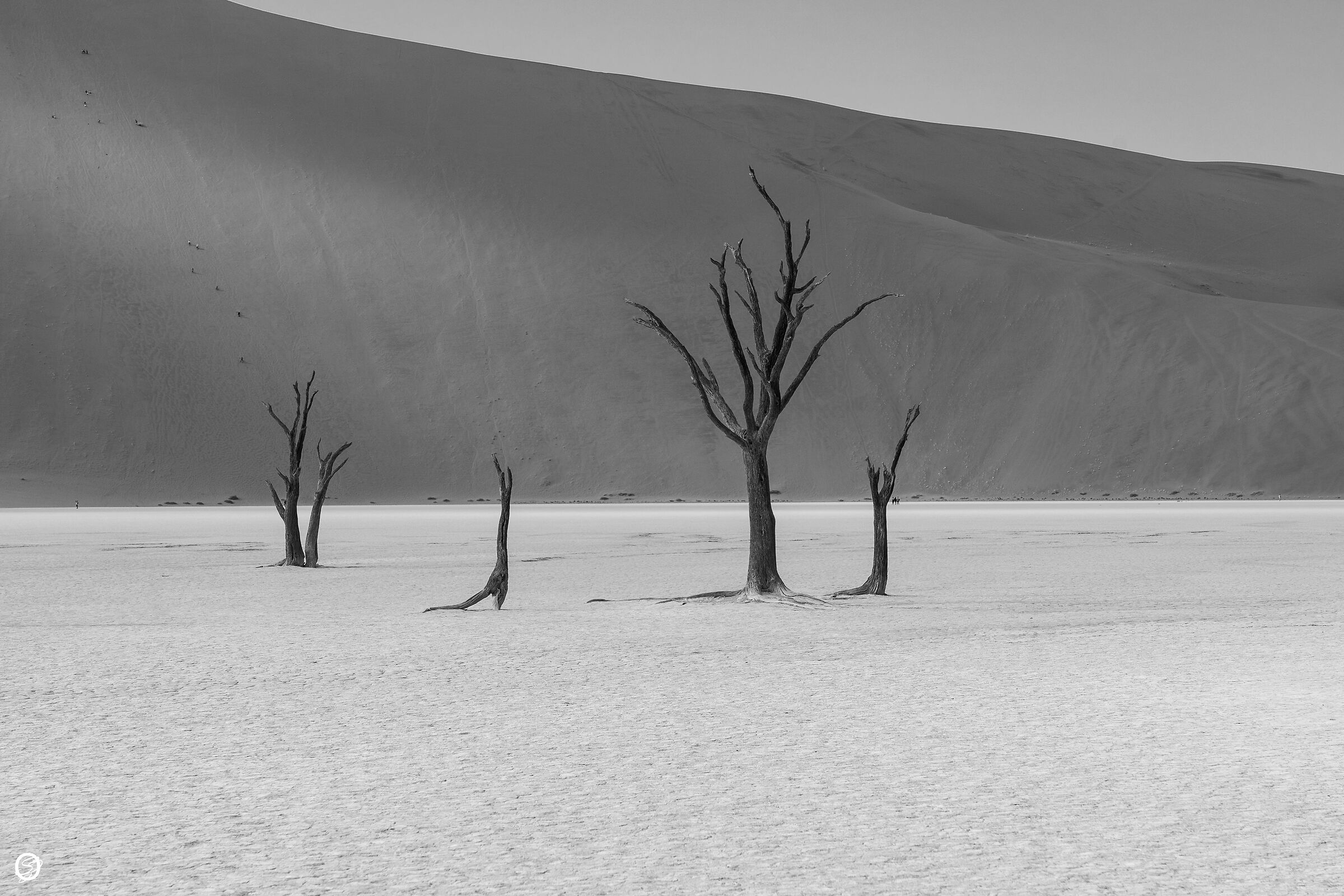 Anime perse- Deadvlei