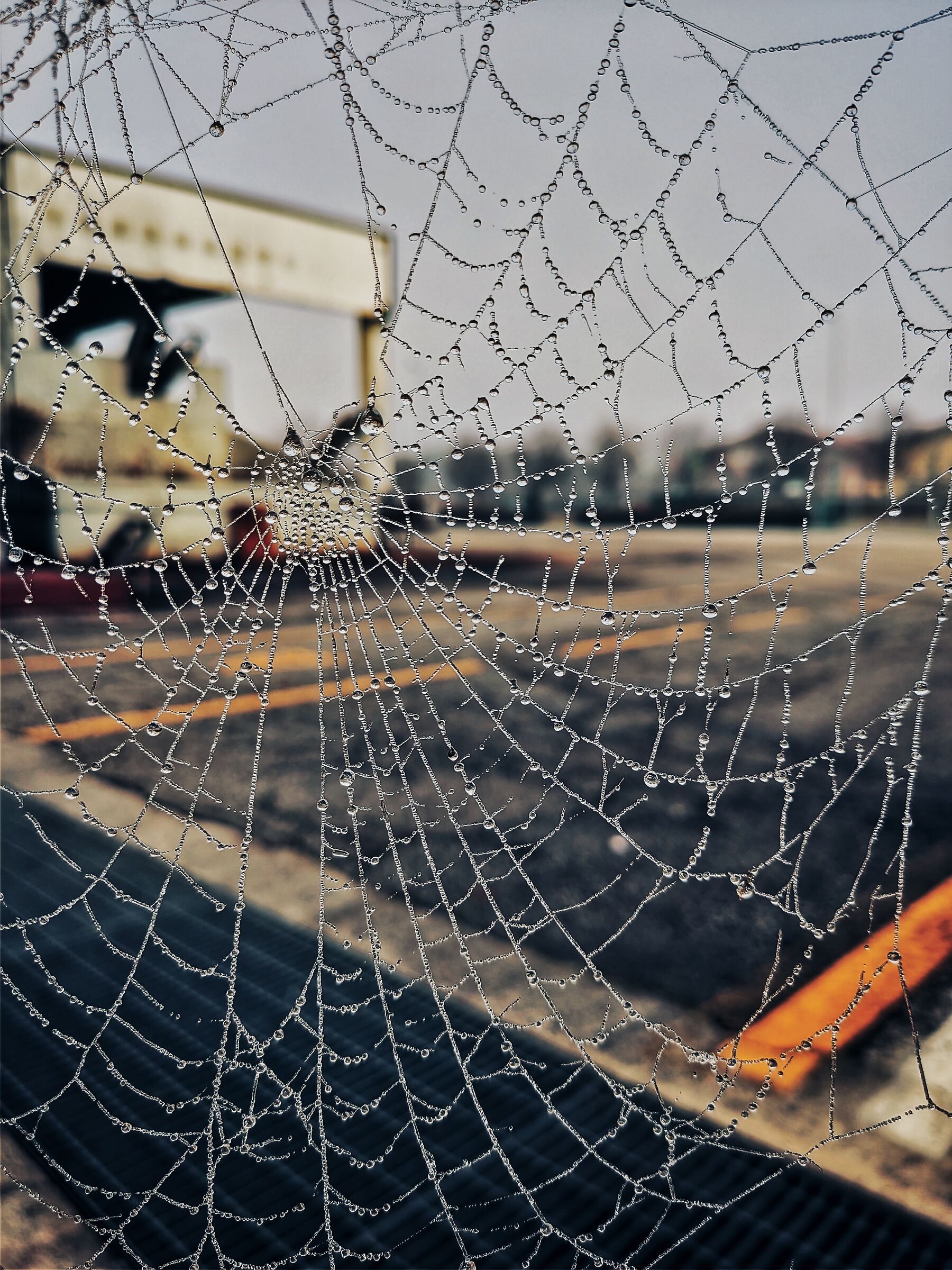 Untitled Photo