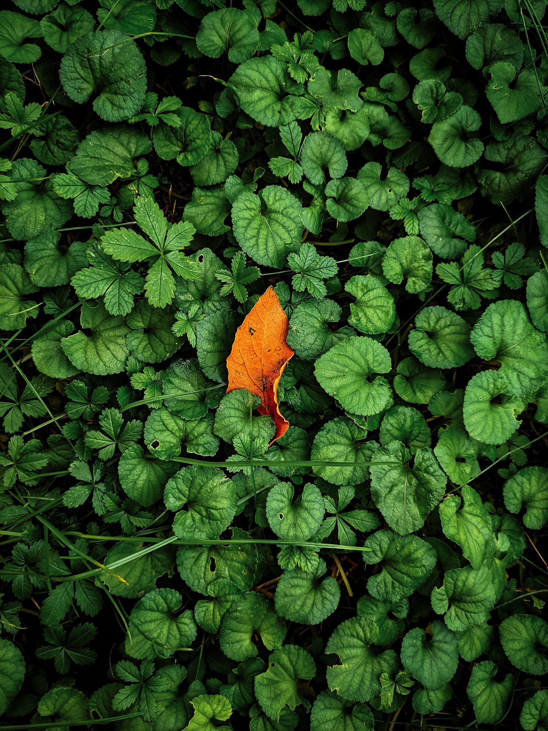 Untitled Photo