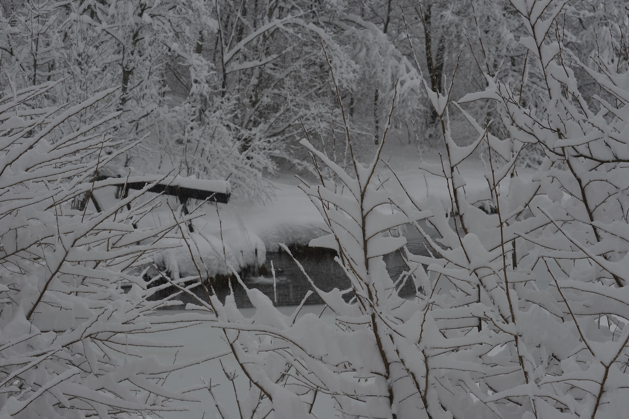 Bilanciamento del Bianco