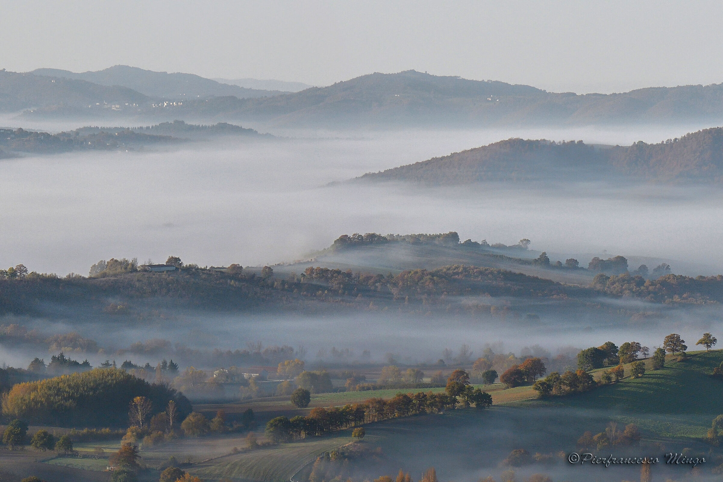 nebbia mattutina