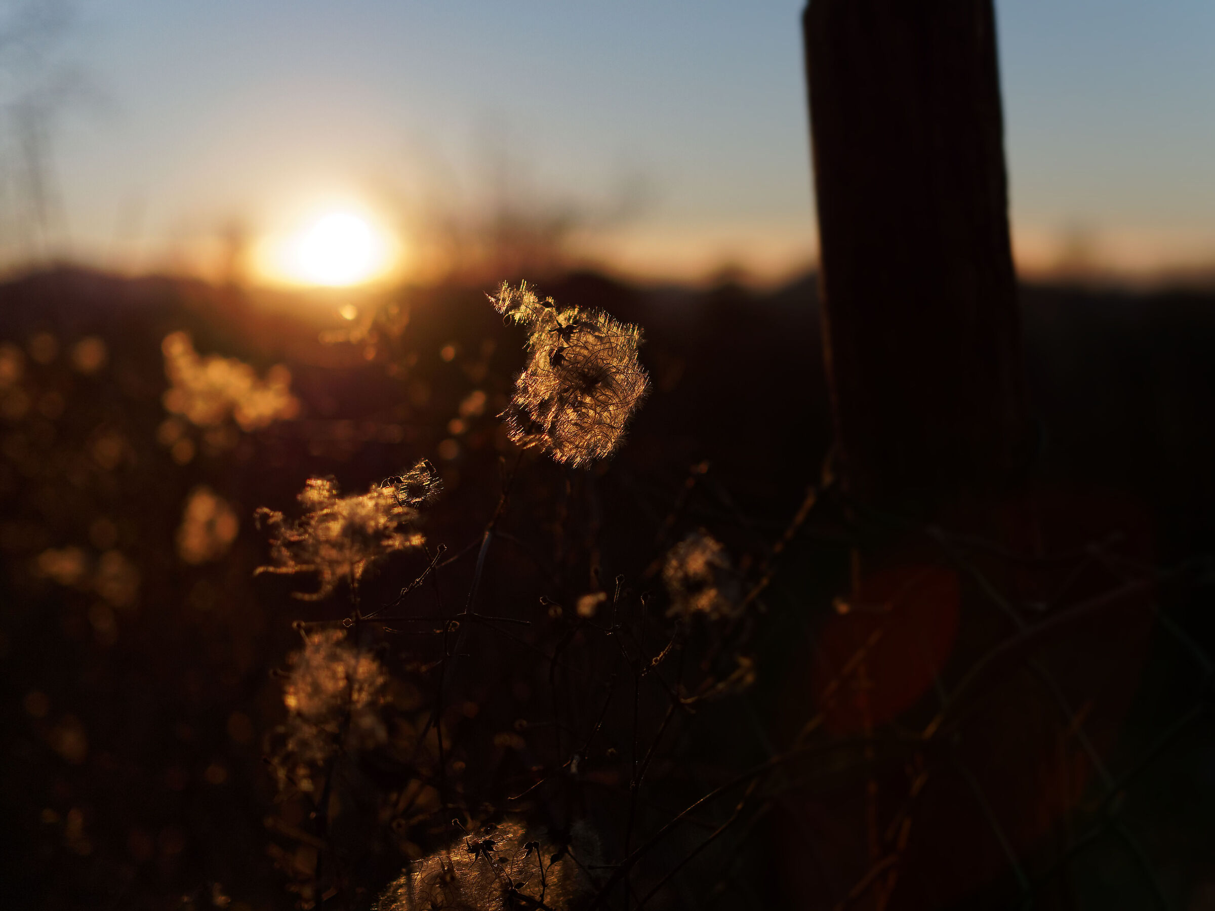 Nella luce della sera