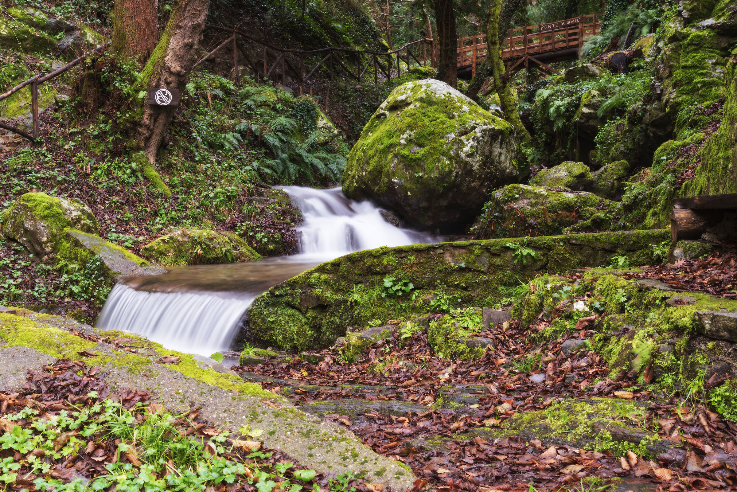 Torrente