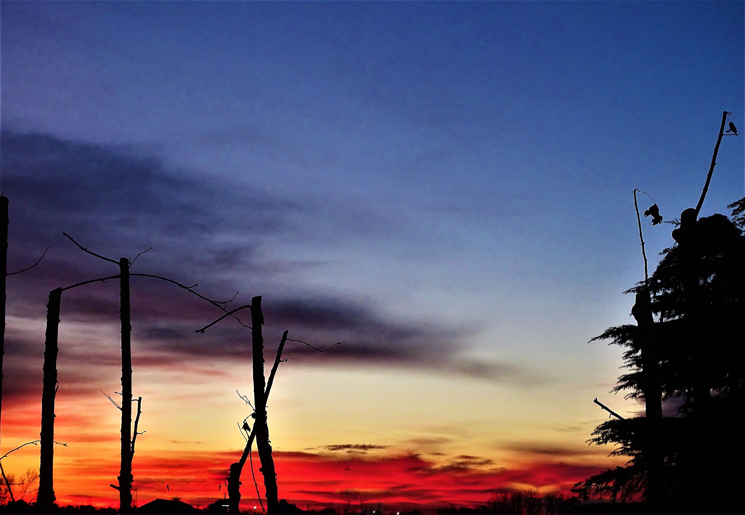sunrise this morning 27.01.2021
