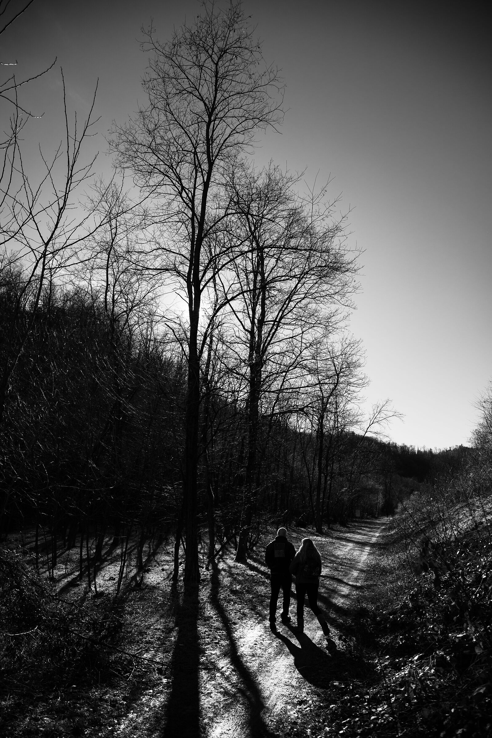 On the tracks
