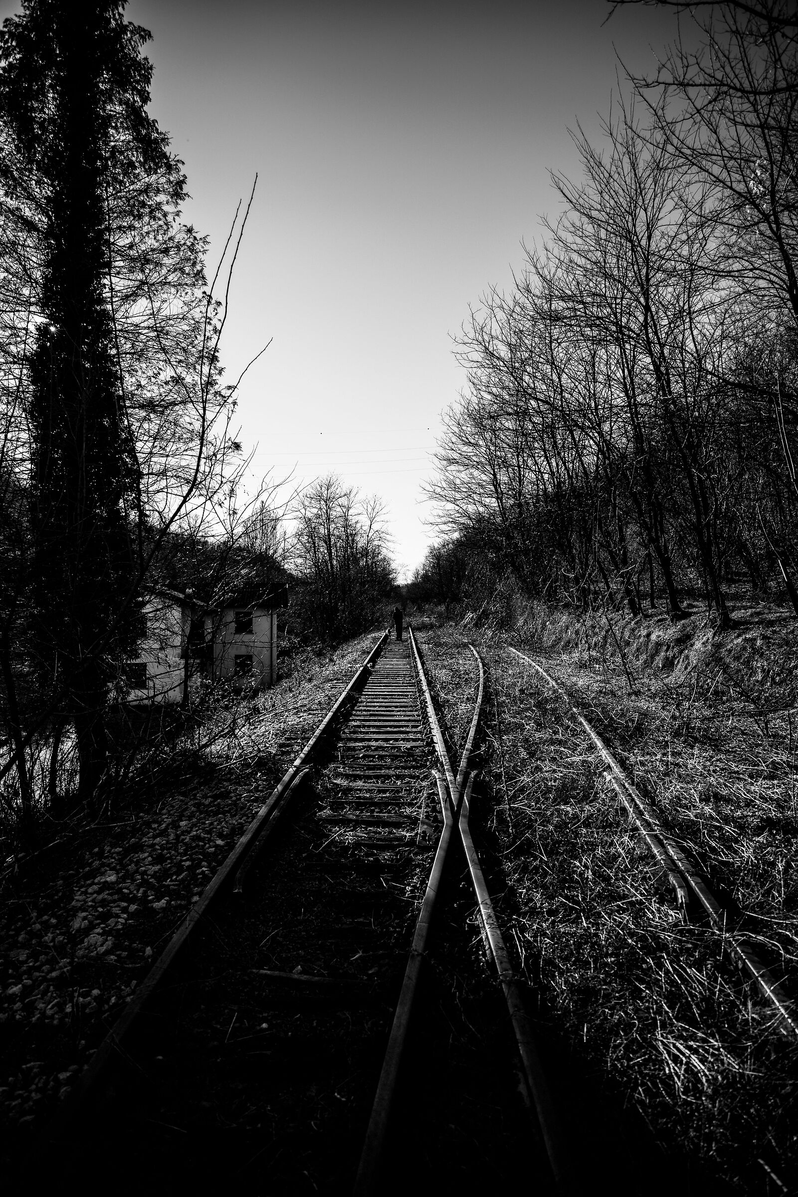 On the tracks