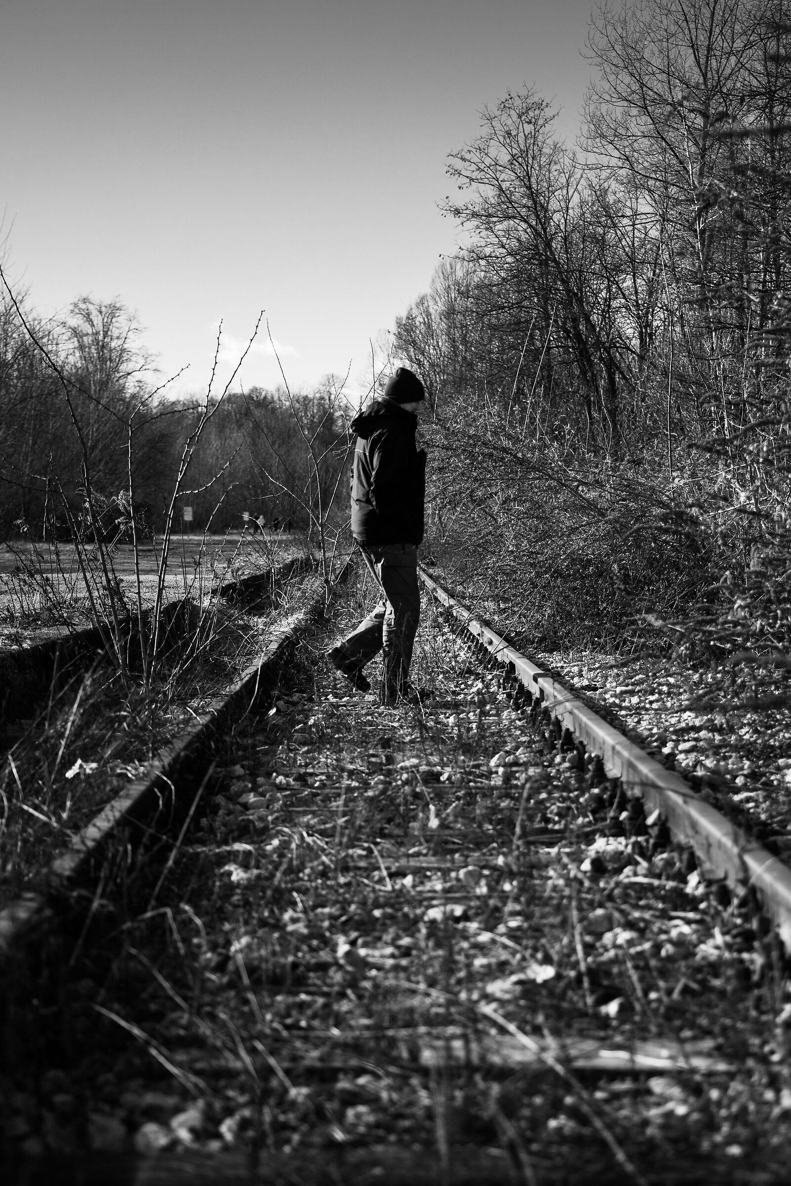 On the tracks