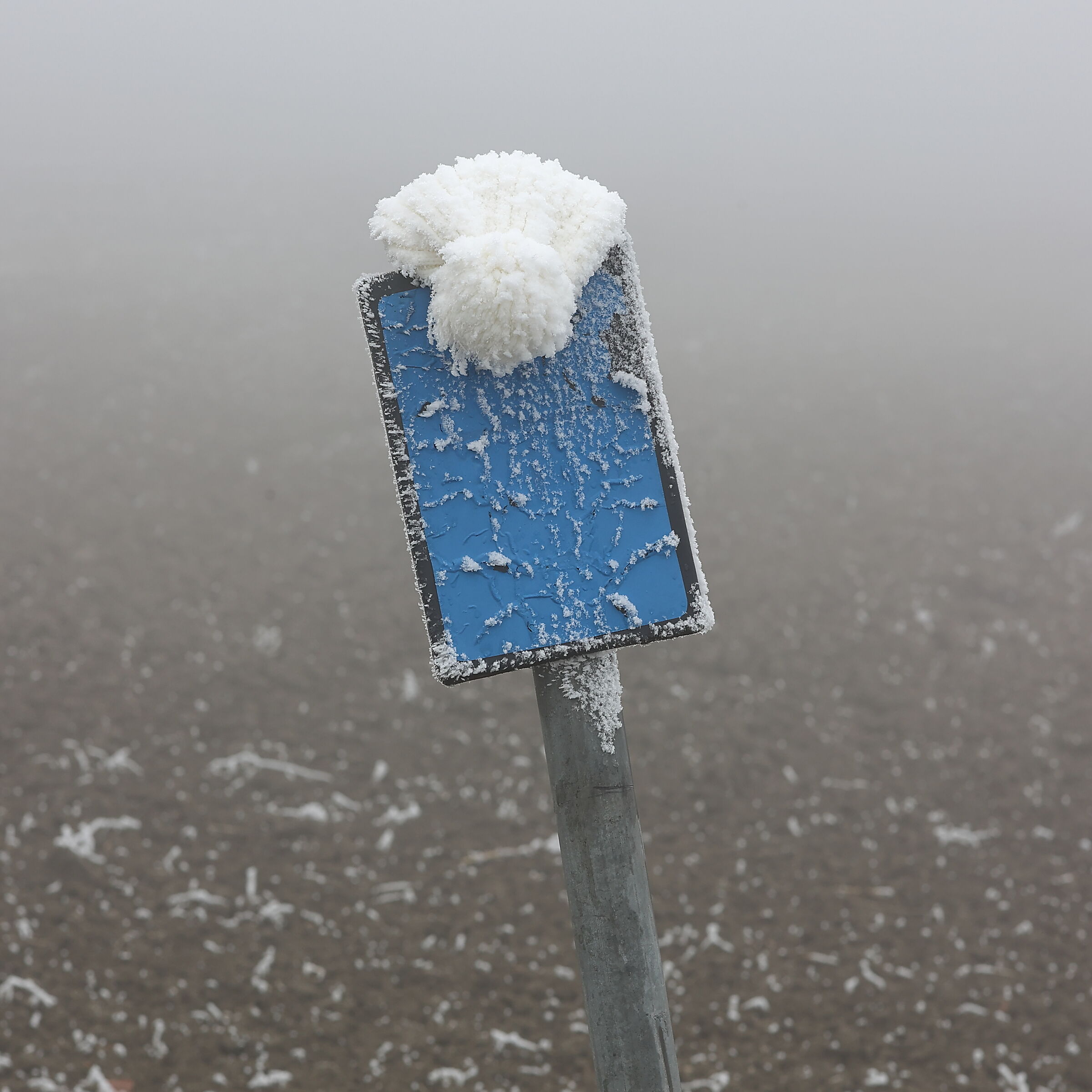 19/01/2021 - Lost and found