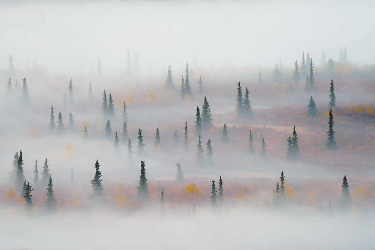 Emerged from the mists