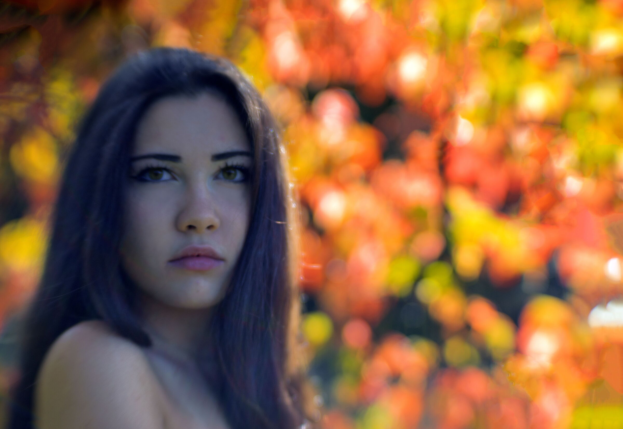 BOKEH, FAI DA TE....