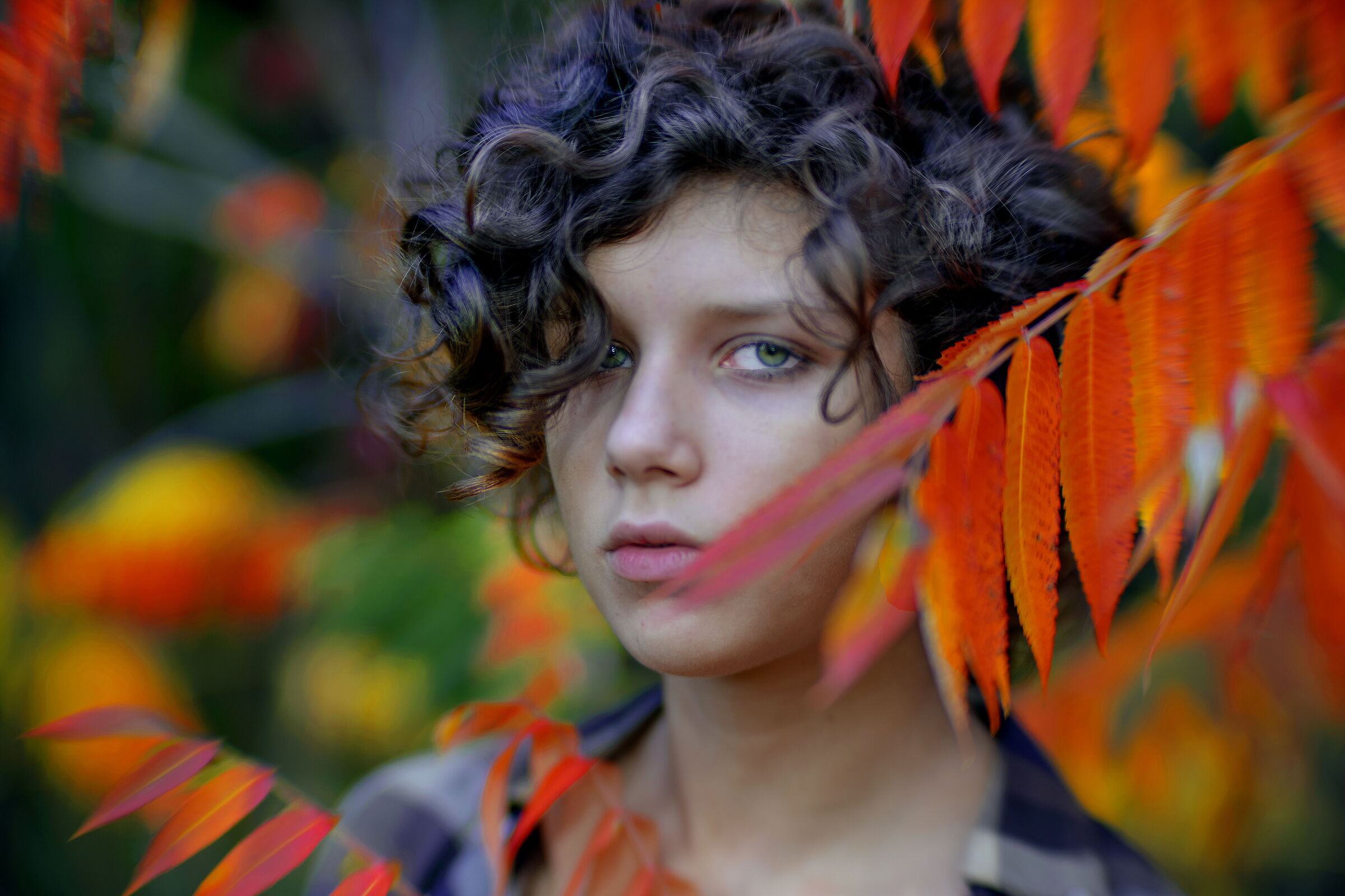 BOKEH, FAI DA TE....