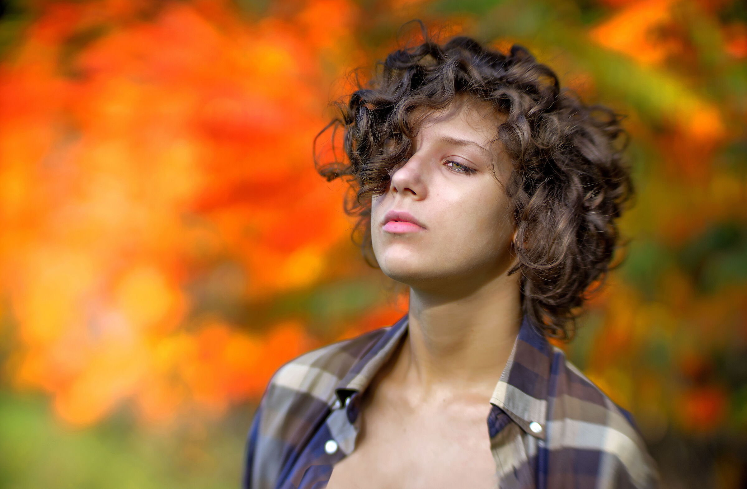 BOKEH, FAI DA TE....