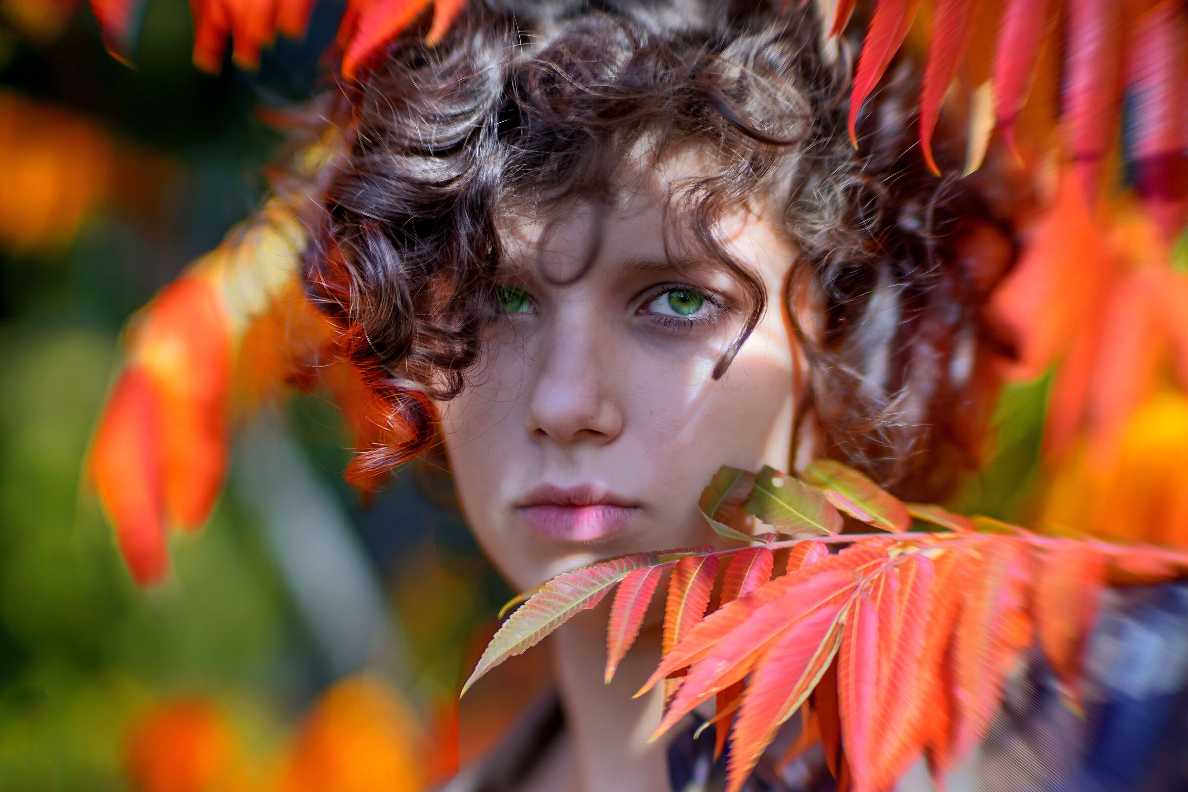 BOKEH, FAI DA TE....