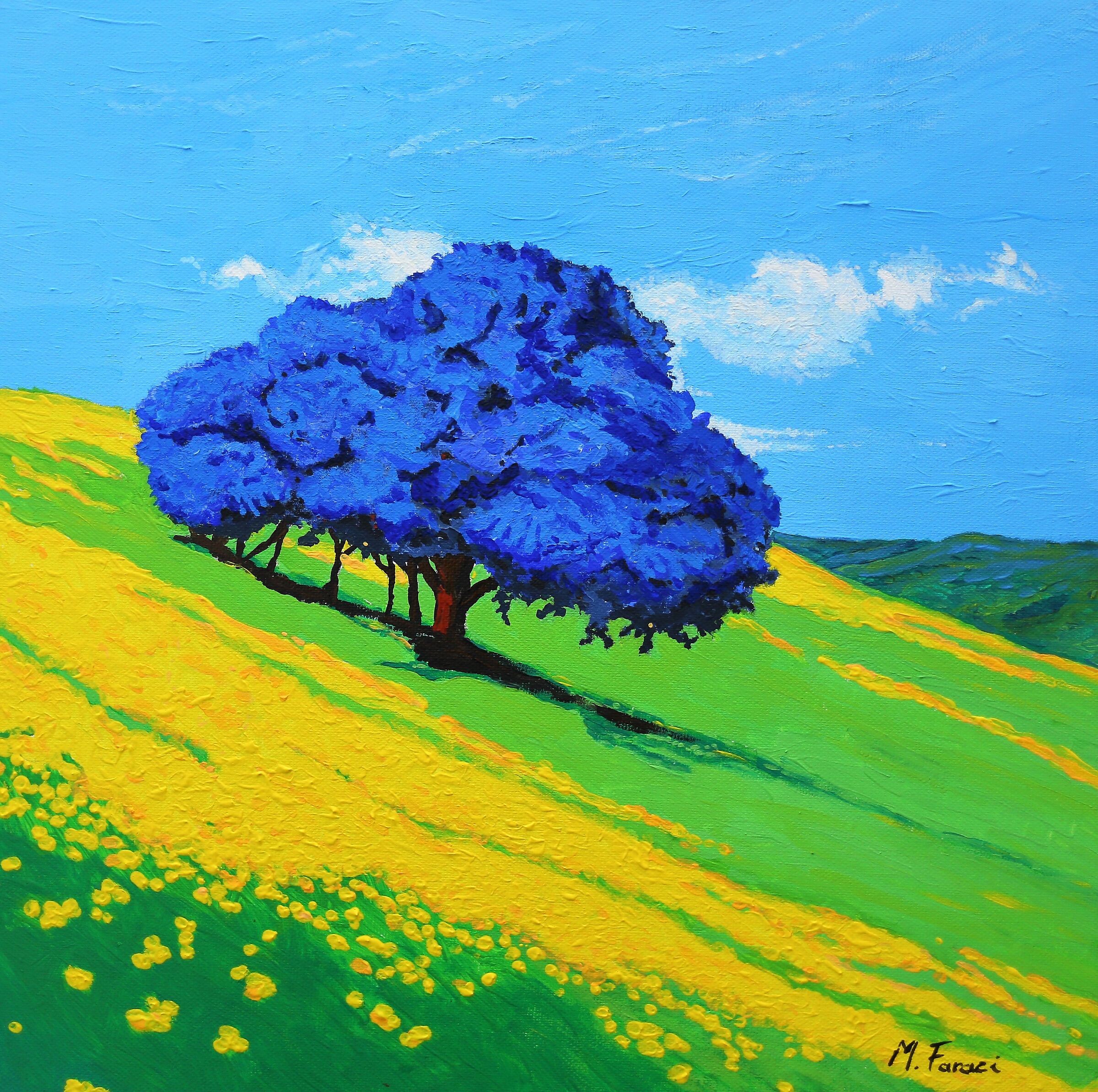 Ceanothus in fiore (Sulle Orme di Giò Mondelli)