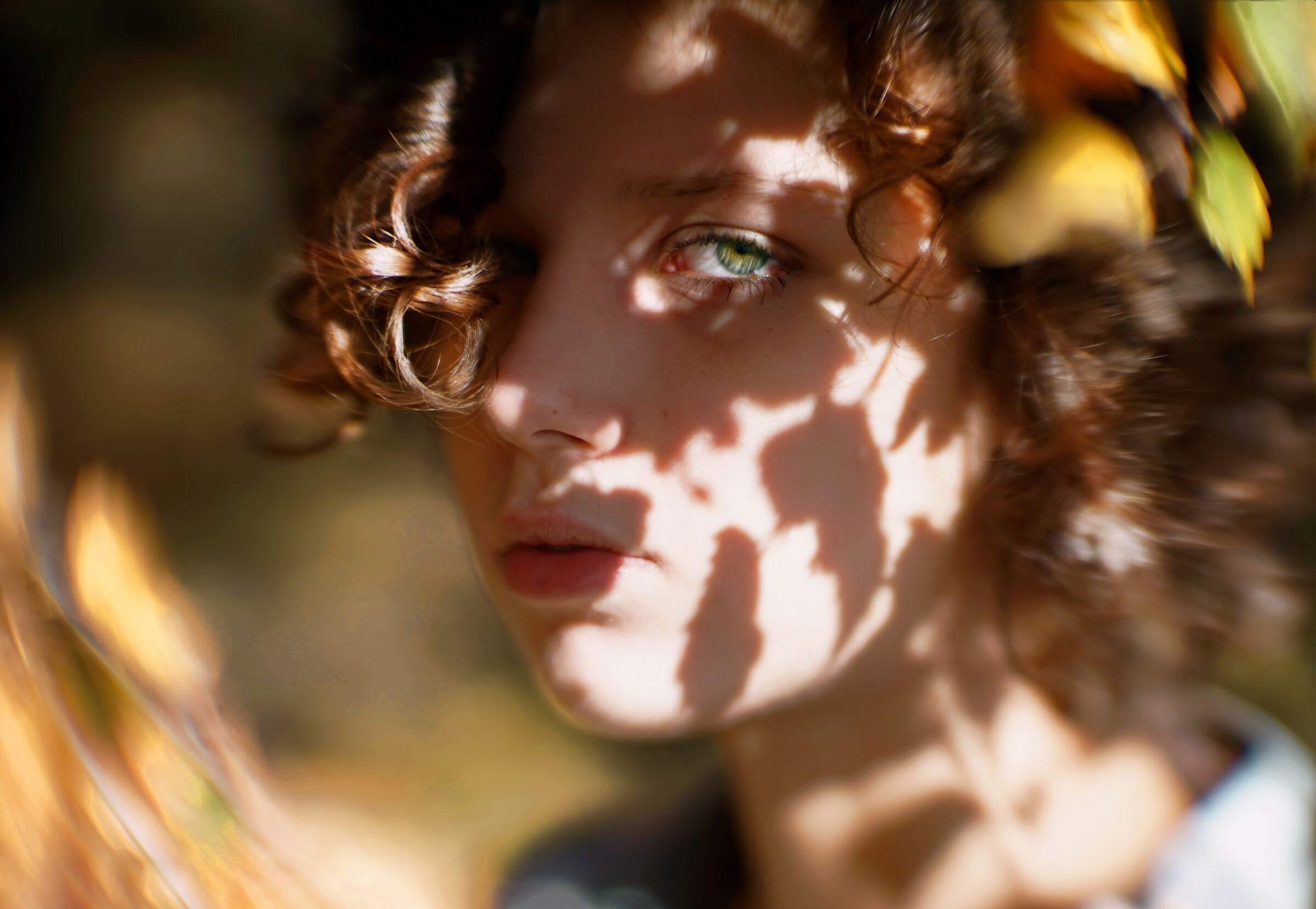 BOKEH, FAI DA TE....