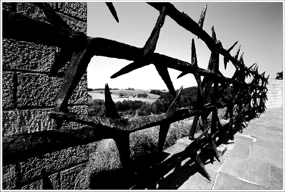 Wednesday 27 January: Remembrance Day 2021