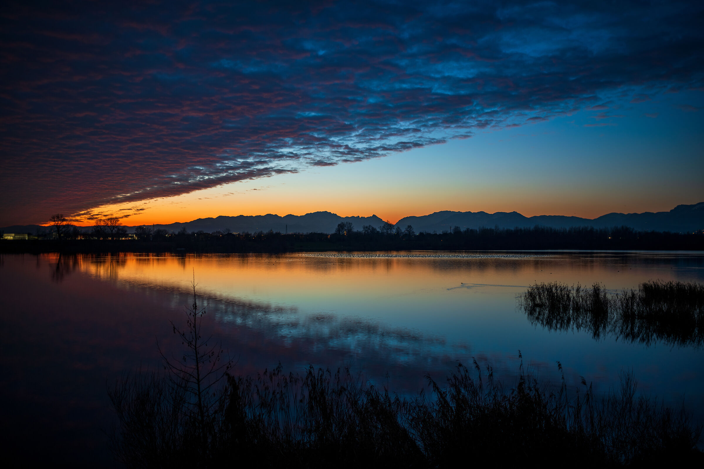 GoodNight, New Year's