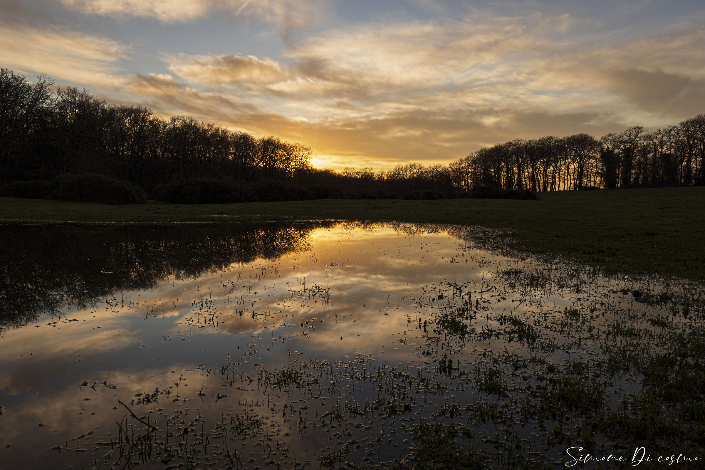 sunset with reflection in the woods
