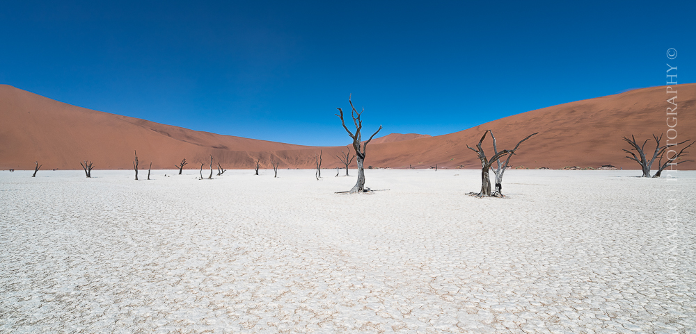 Namib desert