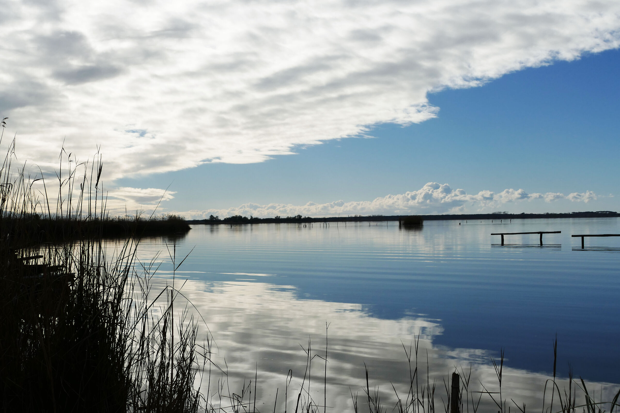 Lago di Massaciuccoli, Oasi Lipu.