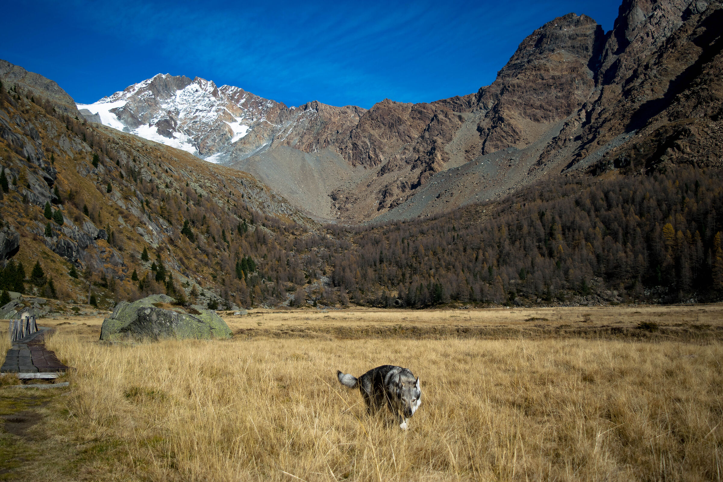 Ice in the Plain of Red Prey