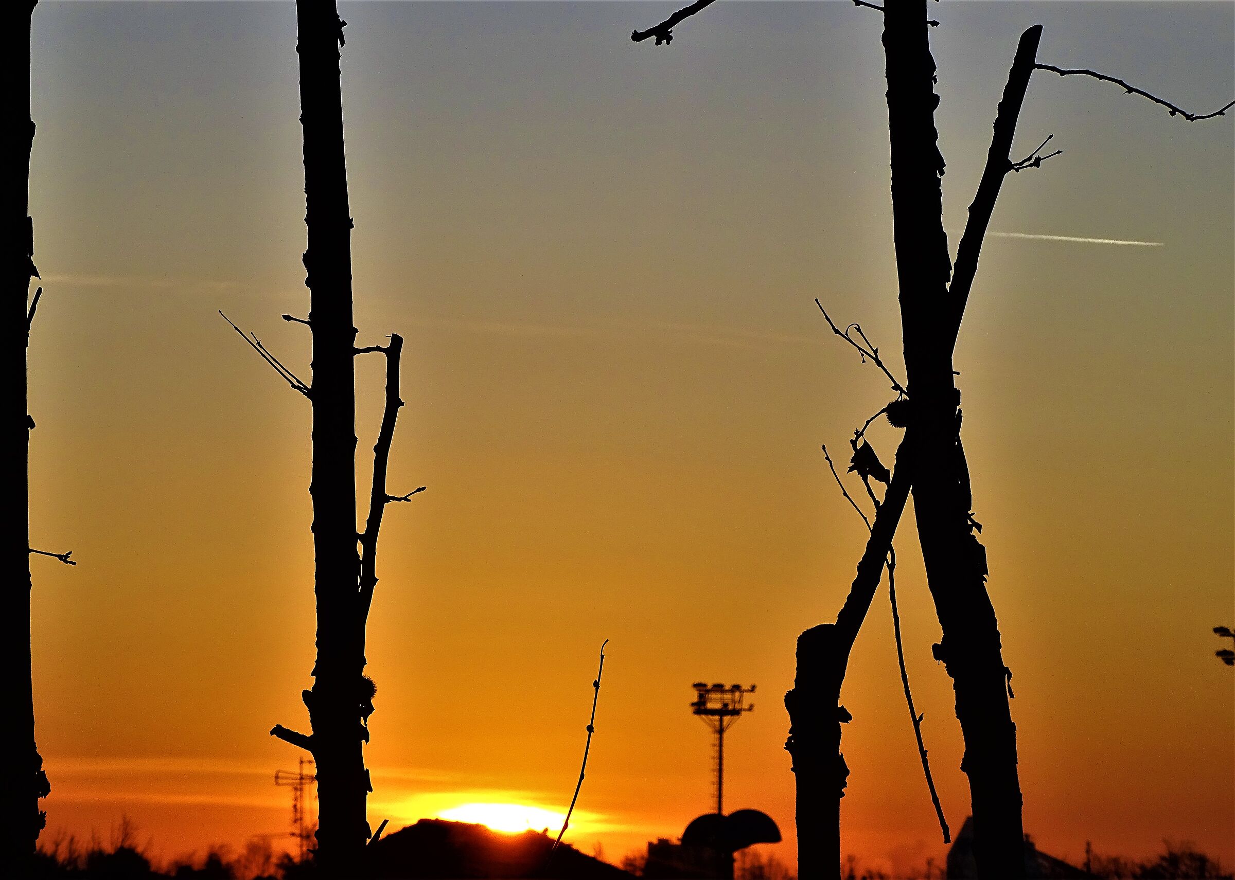sunrise 28.01.2021