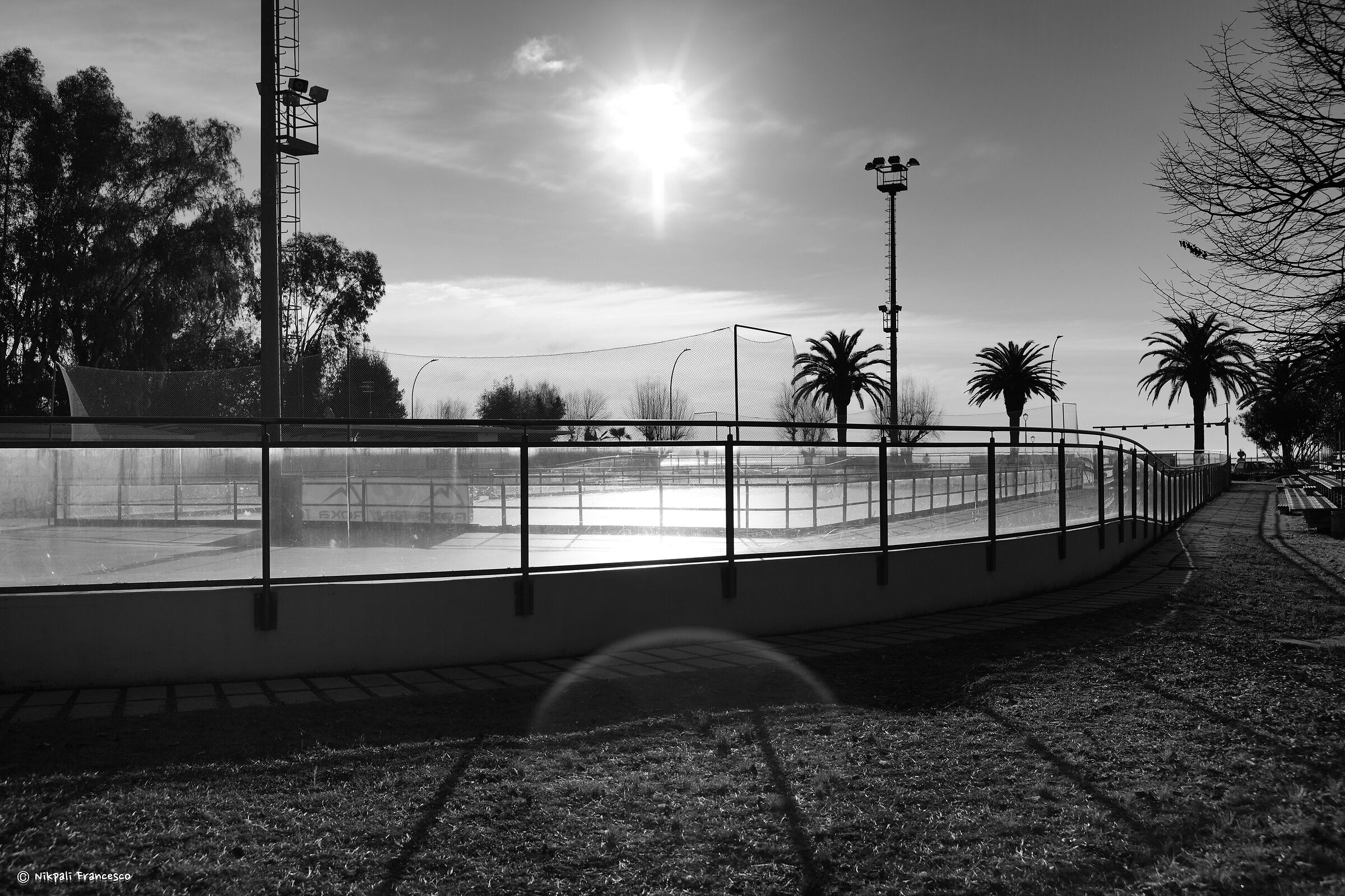 Skating Rink