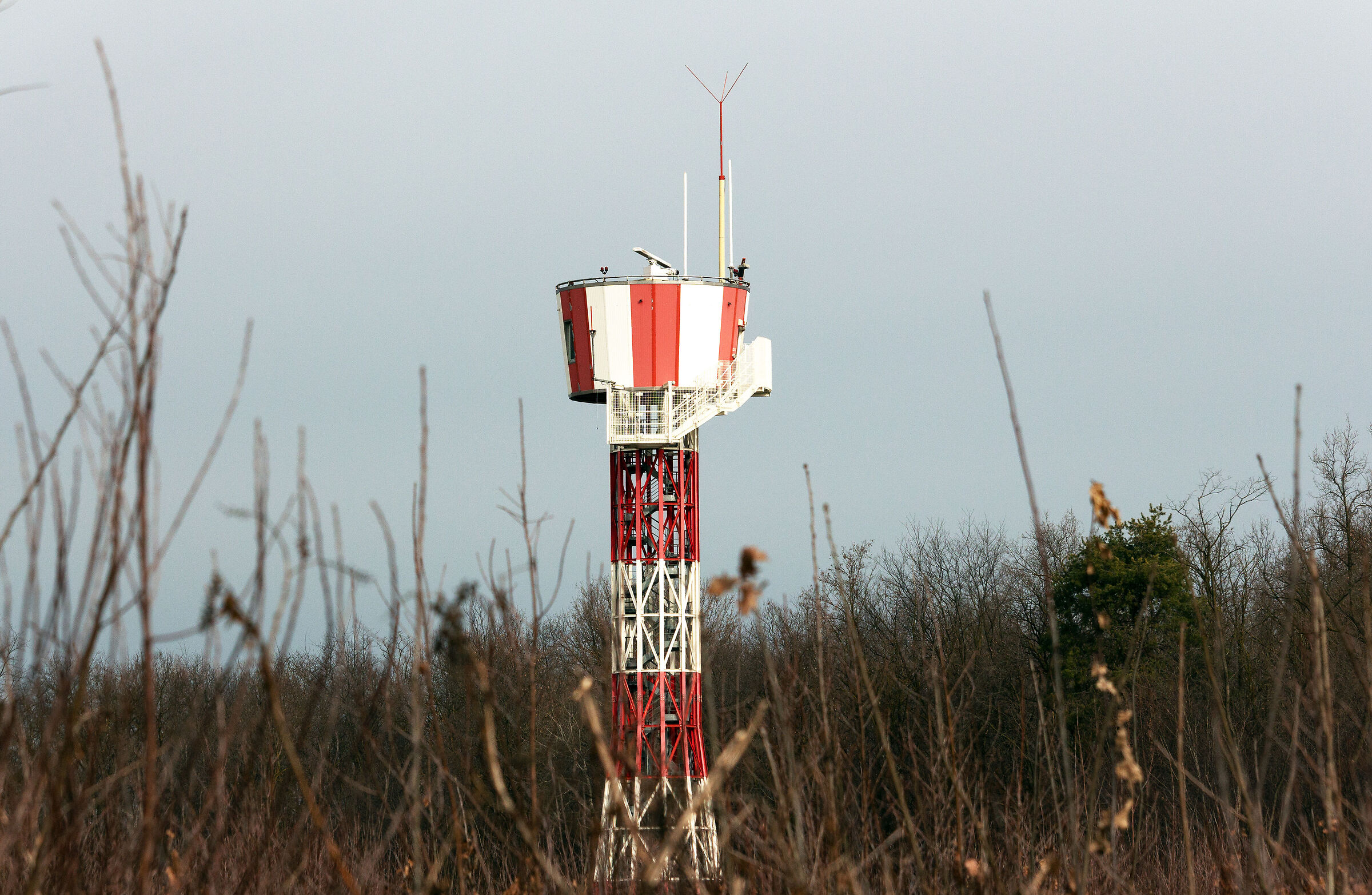 ... but what grows in the middle of the grass?!?