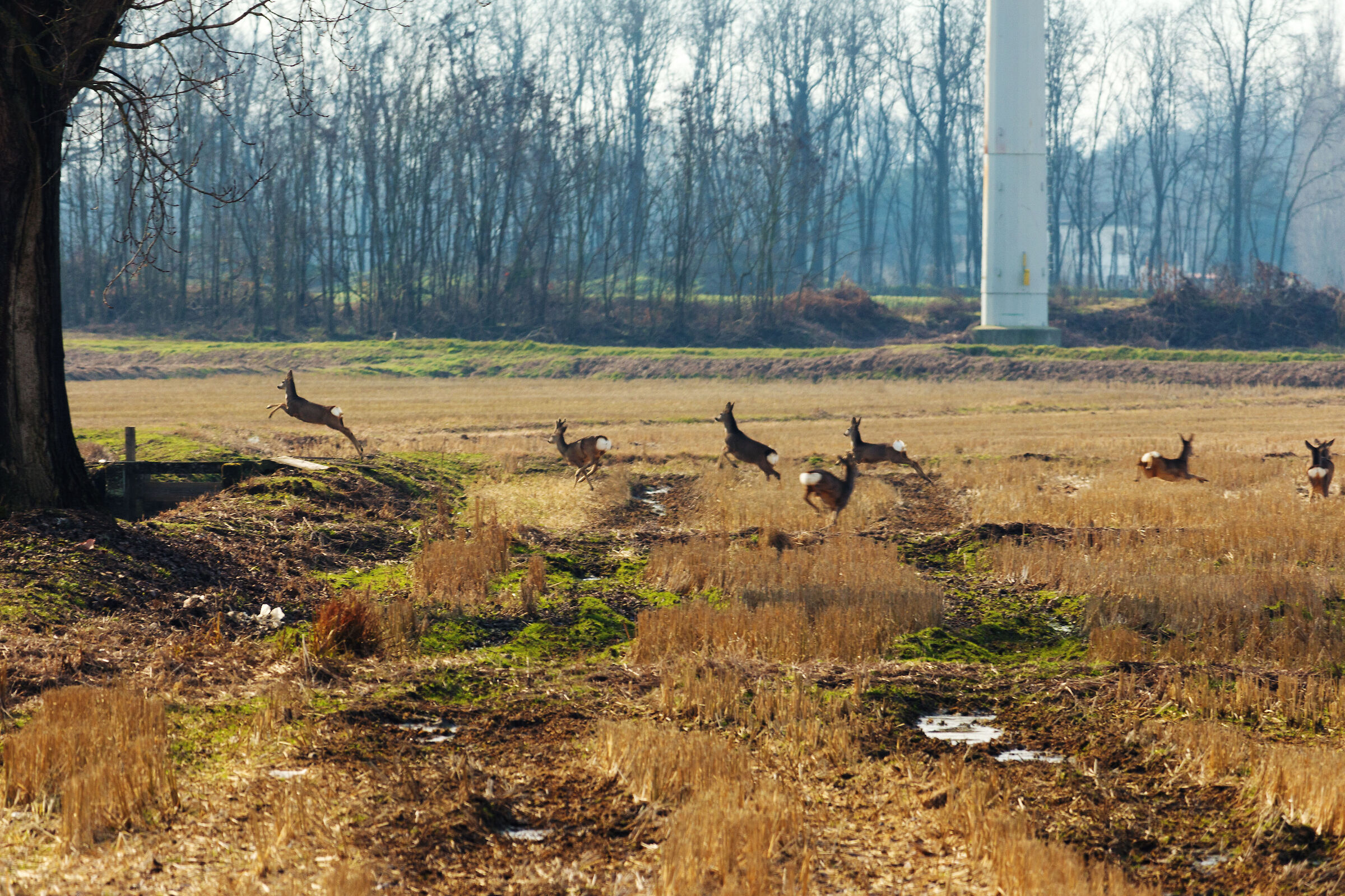 to my signal... disperse yourself!!!