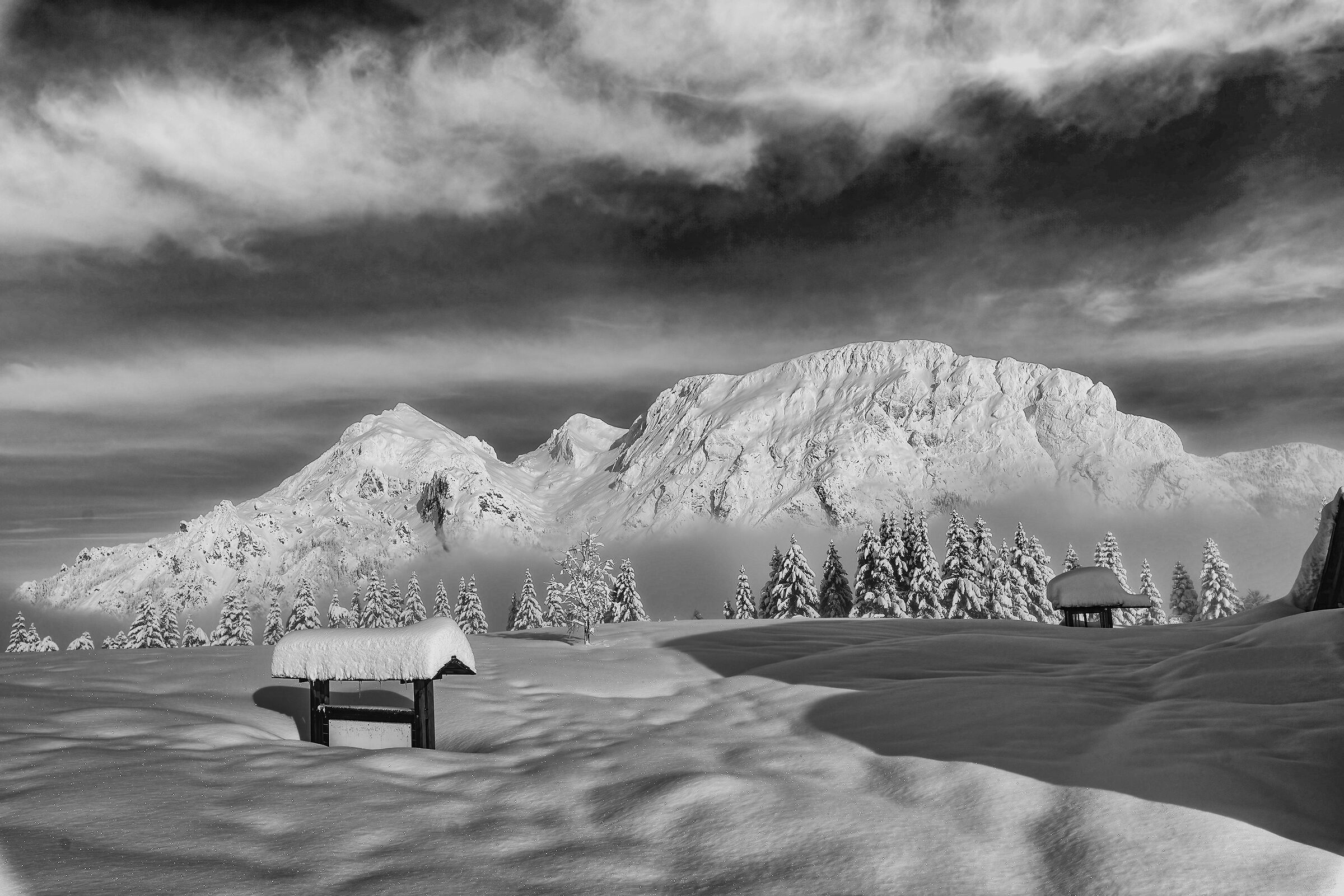 Black and white carnic alps