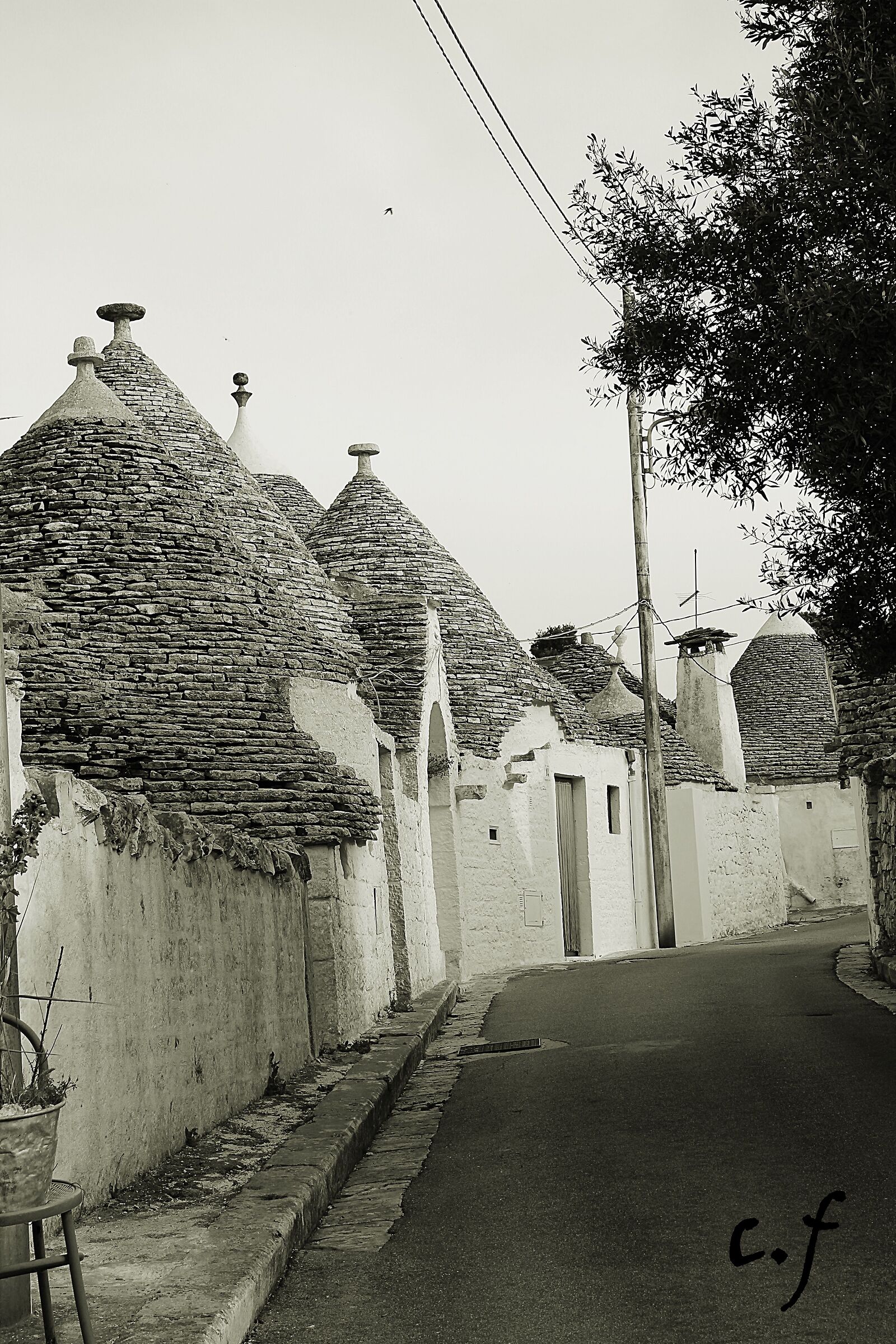 Vieni a ballare in Puglia