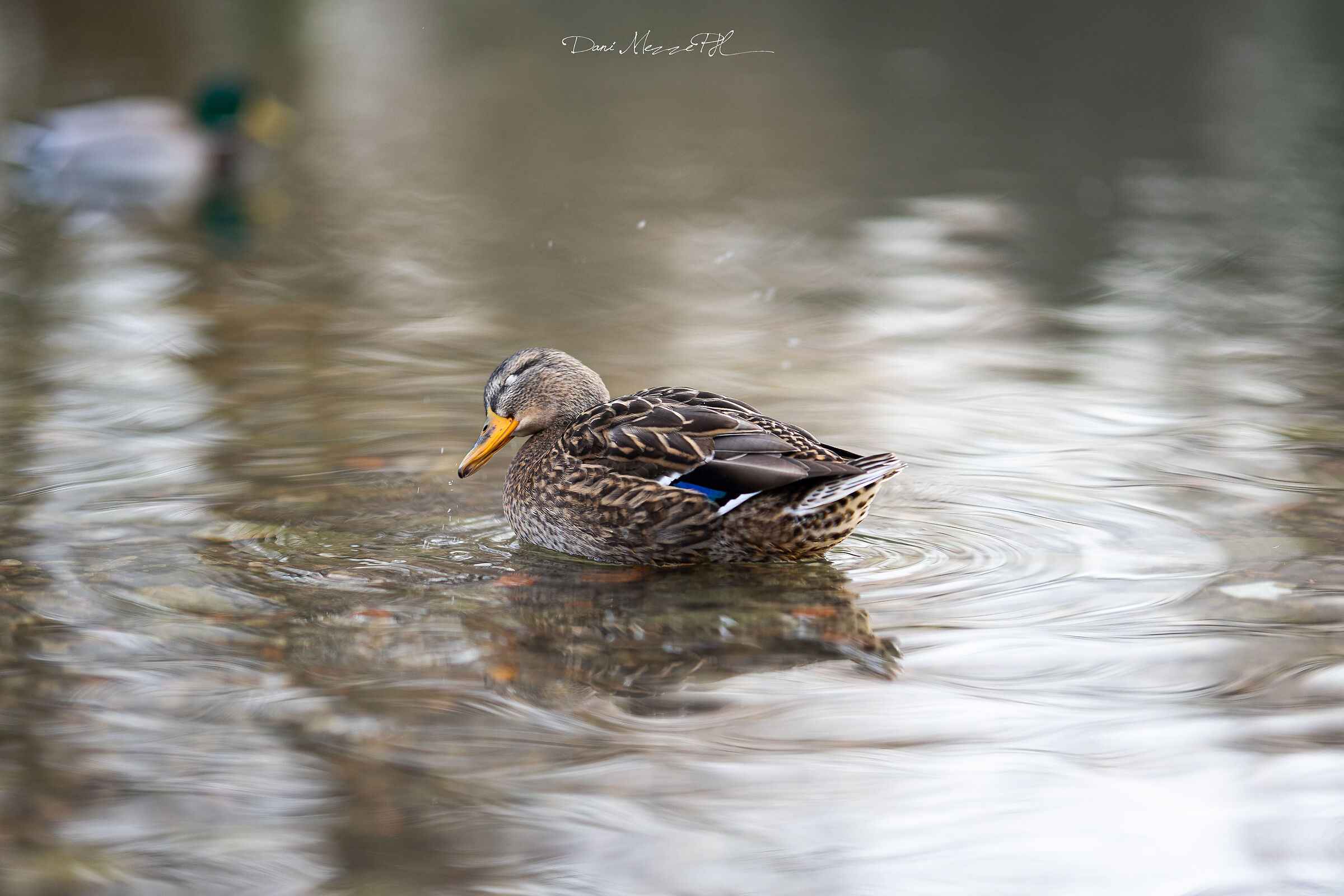 Hygiene is important