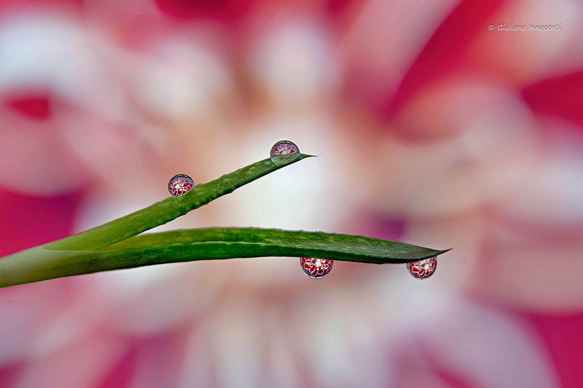 Vedo doppio? No quadruplo....