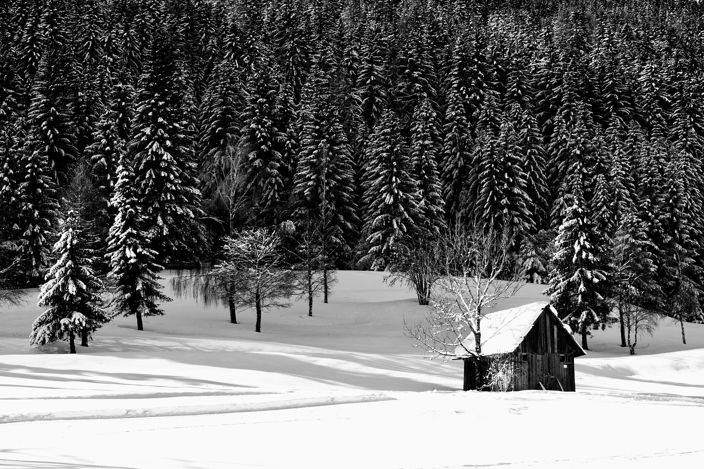Winter