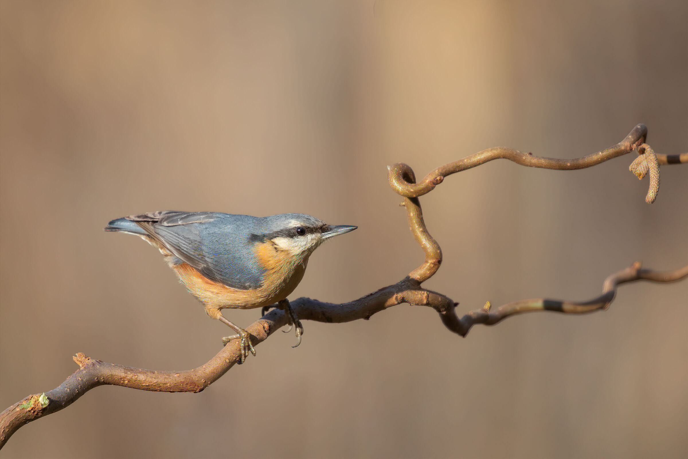 I was never standing still!