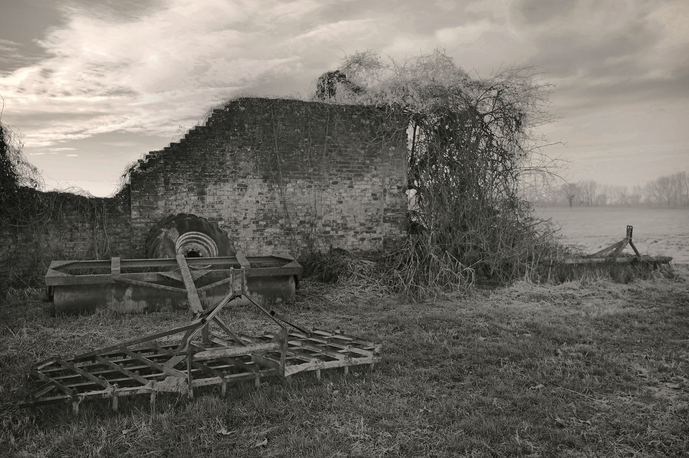 Amarcord rurale - B/N