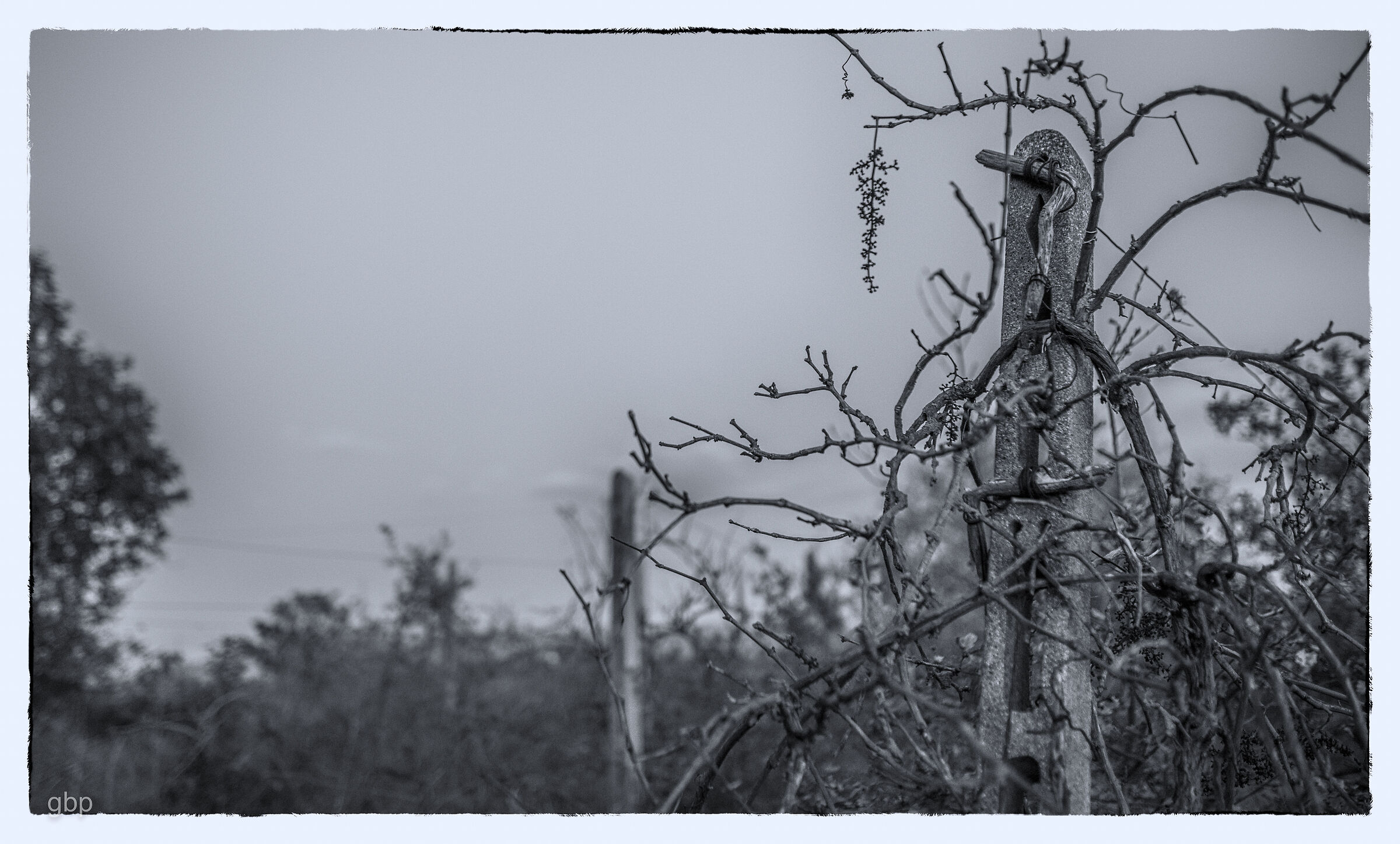 una volta era una vigna