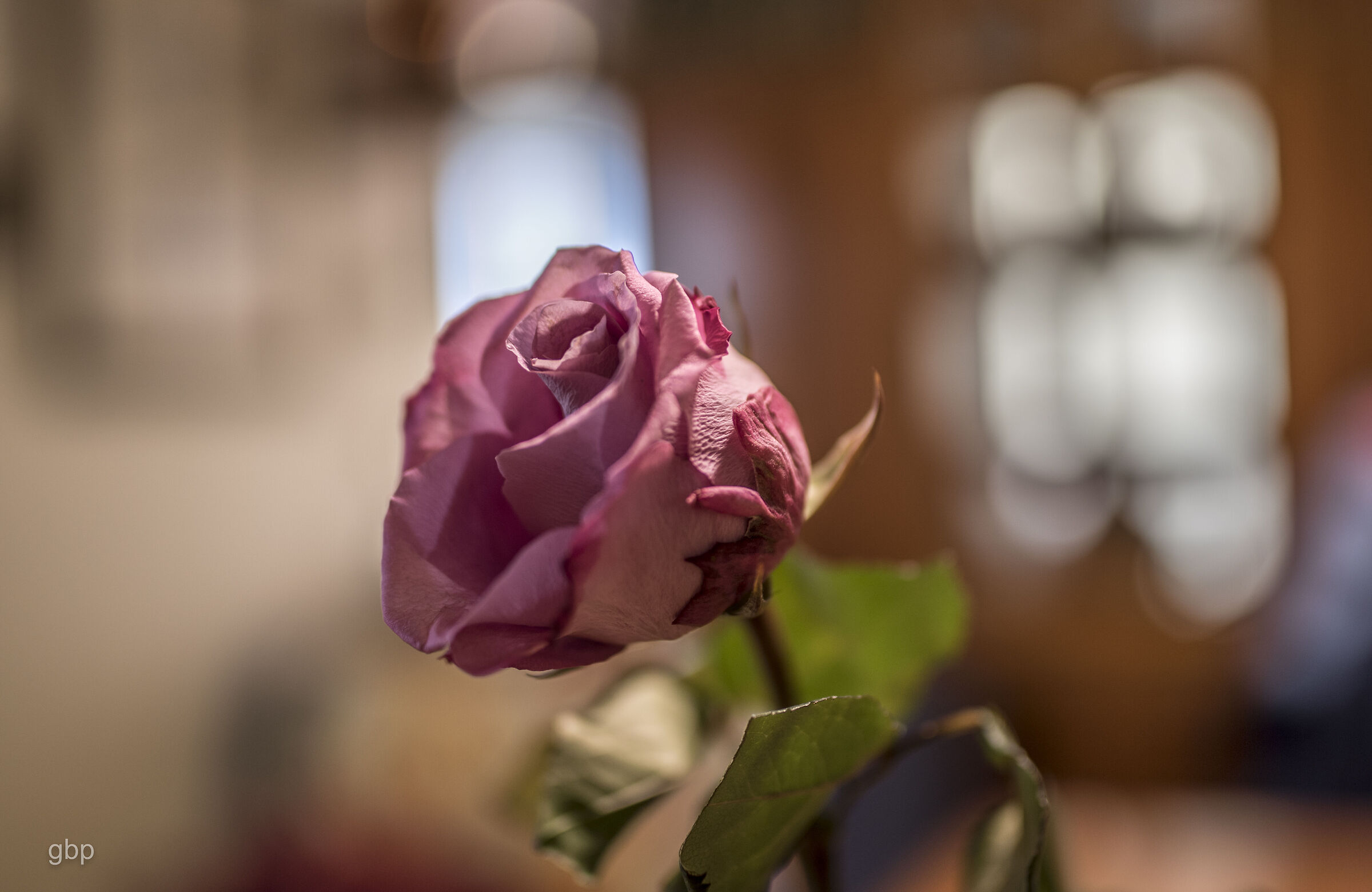 the trouble of being Pink