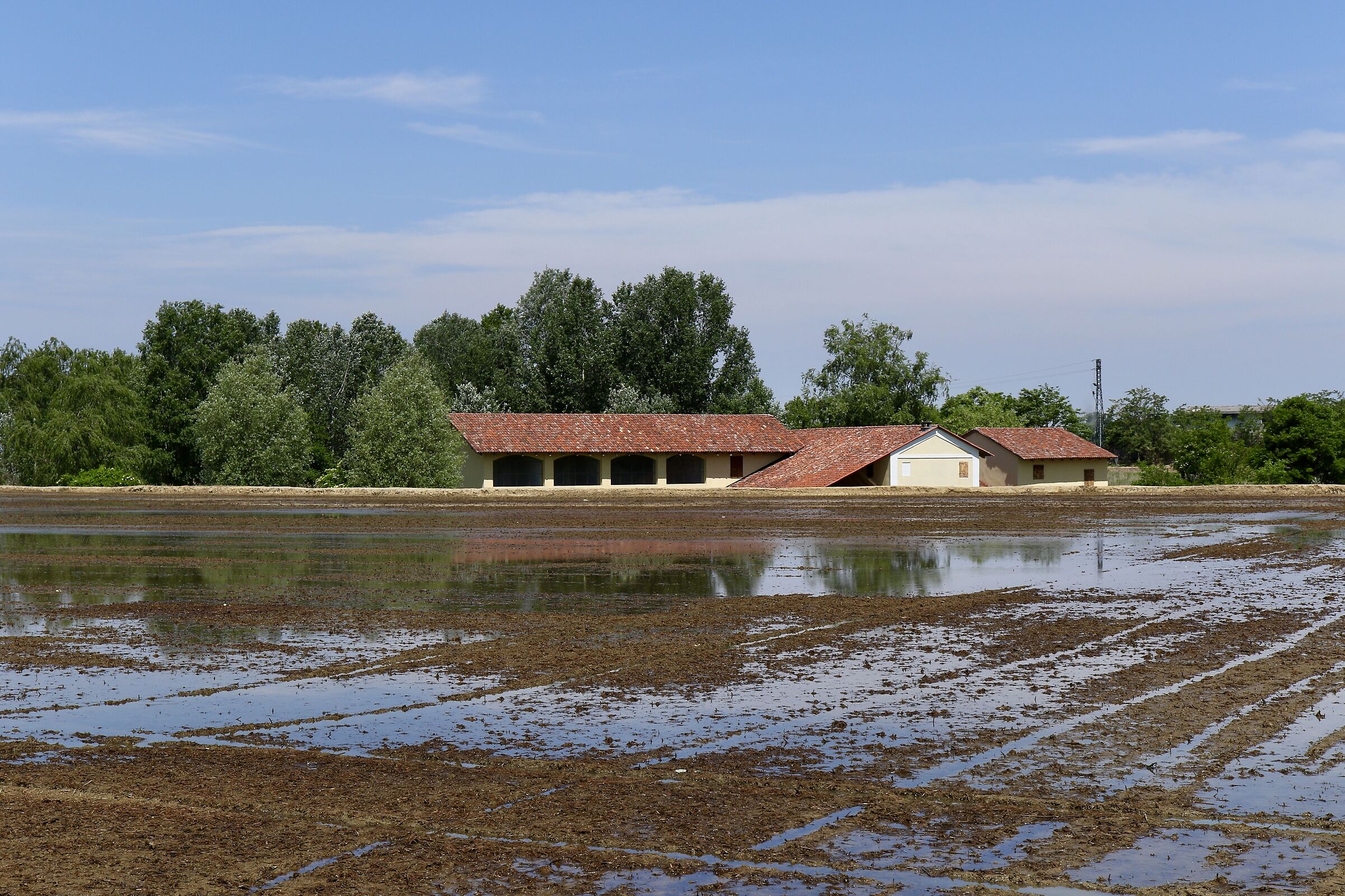 Vercellese, terre d'acqua.