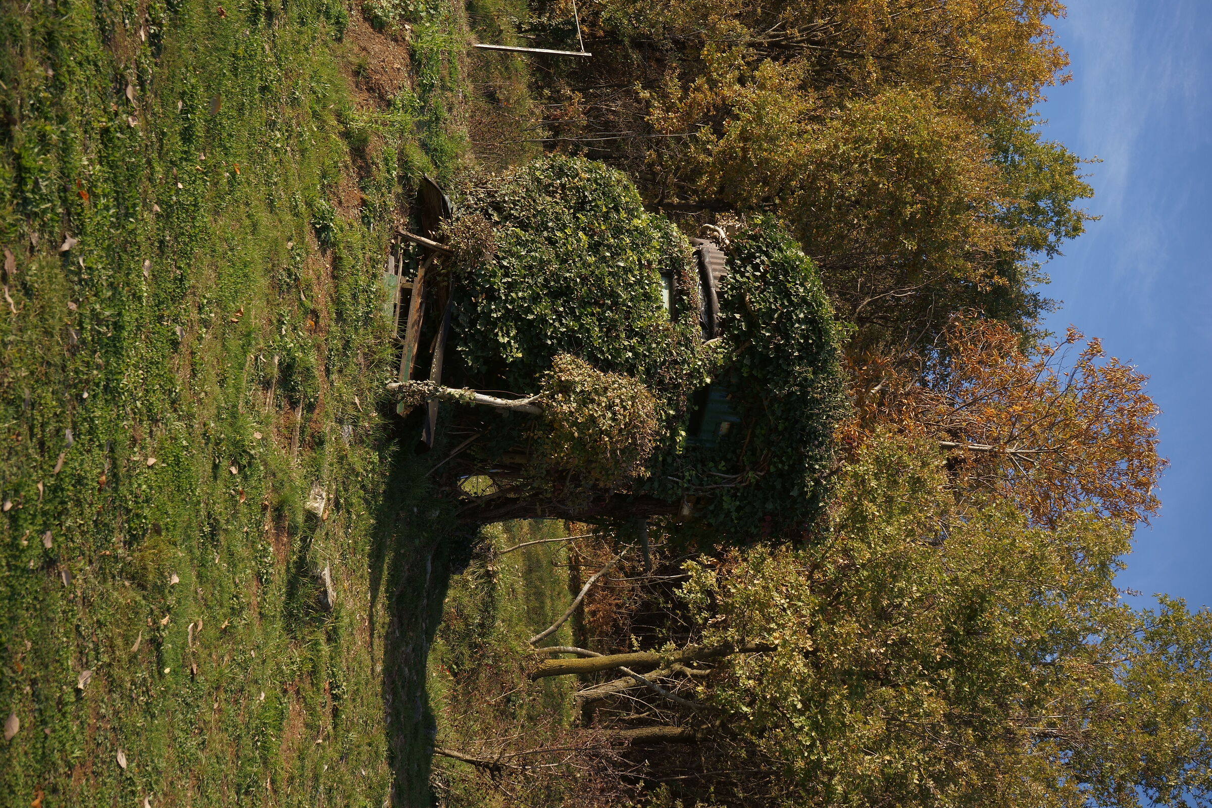 In simbiosi con il paesaggio