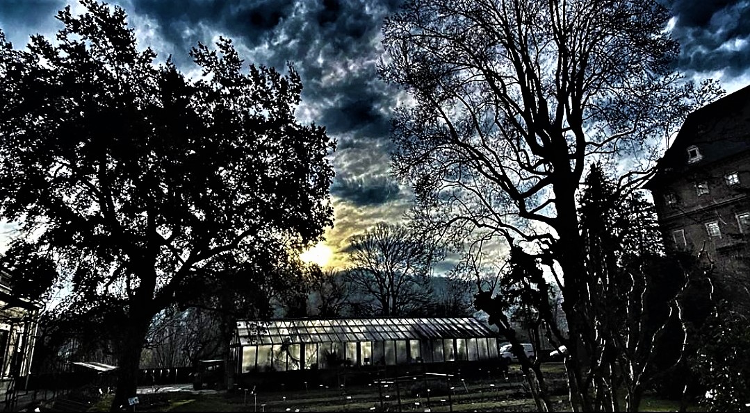glimpse of Turin at sunset..