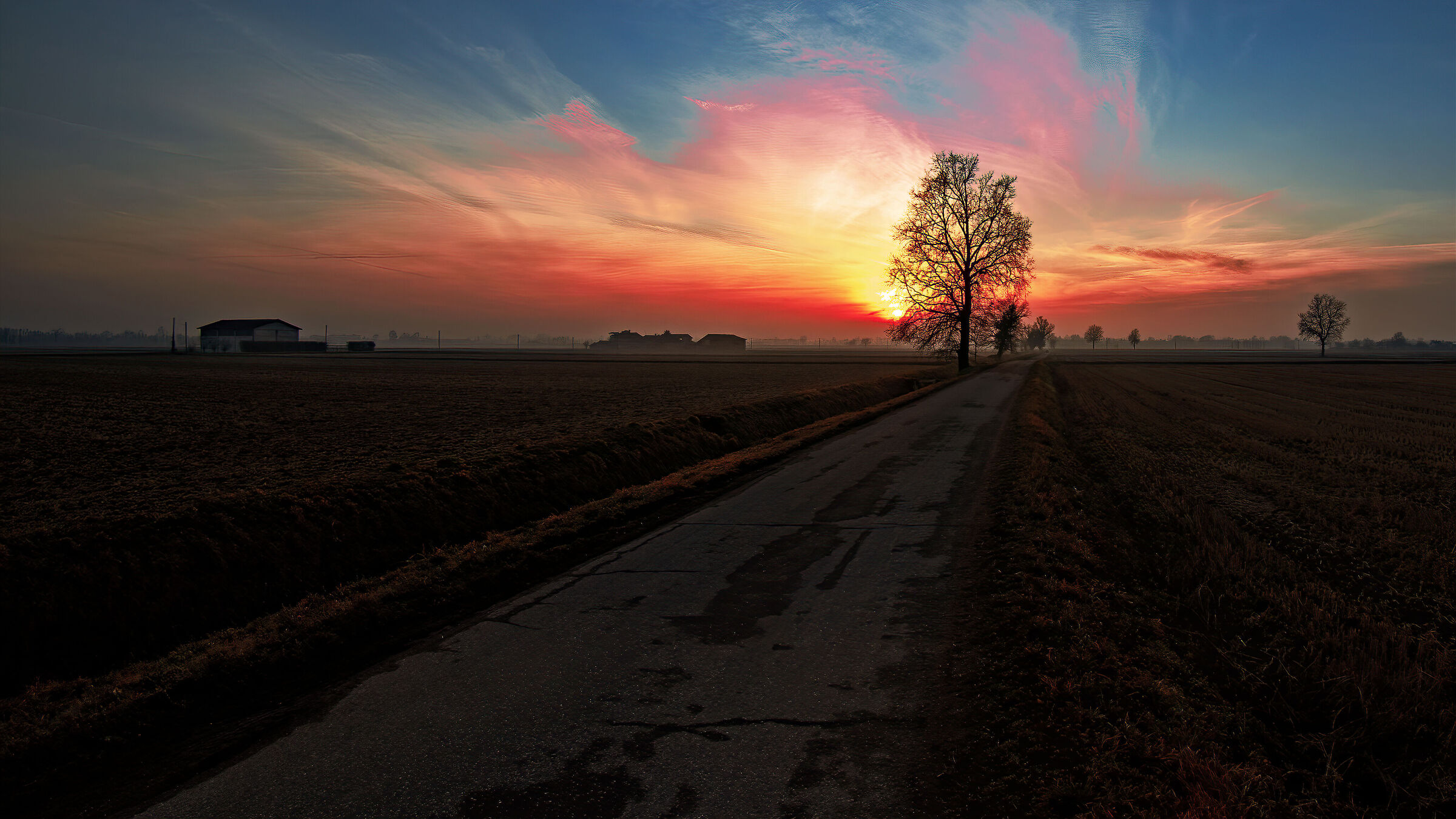 Serotine brushstrokes