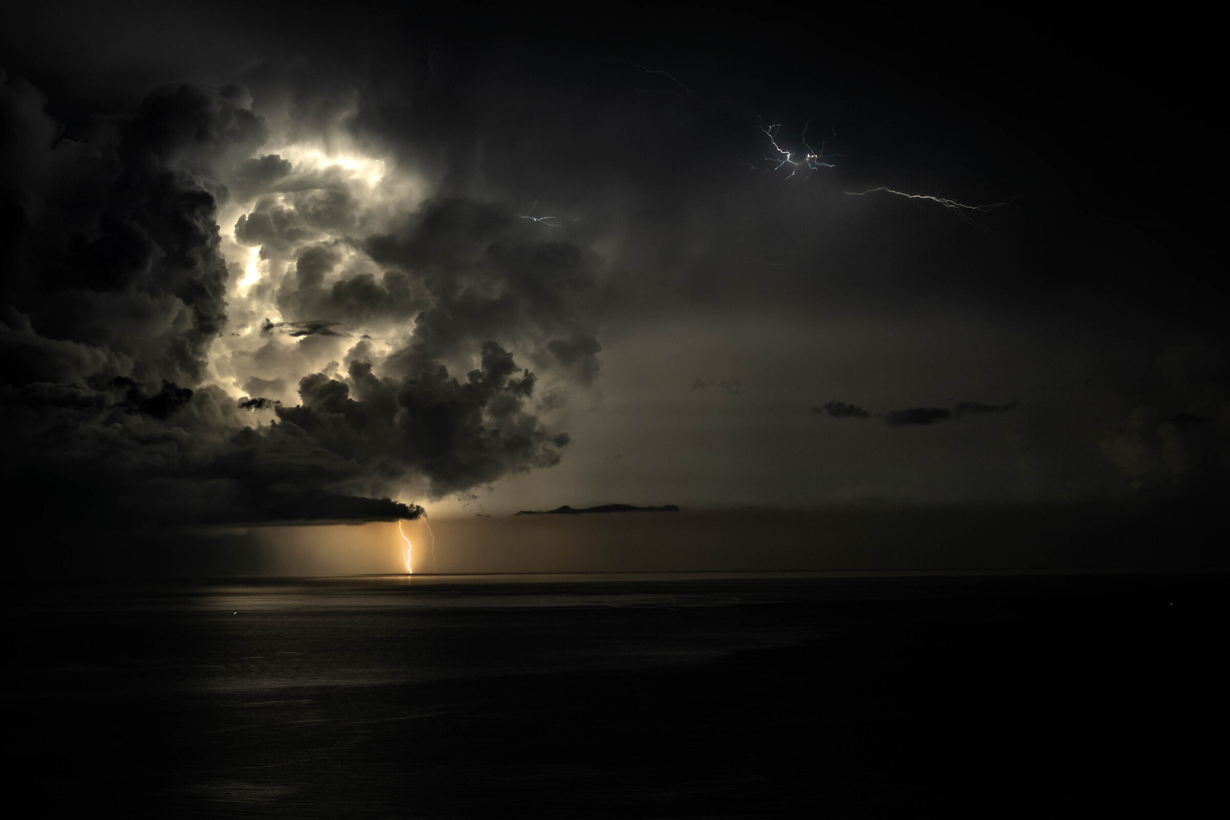 Untitled Photo